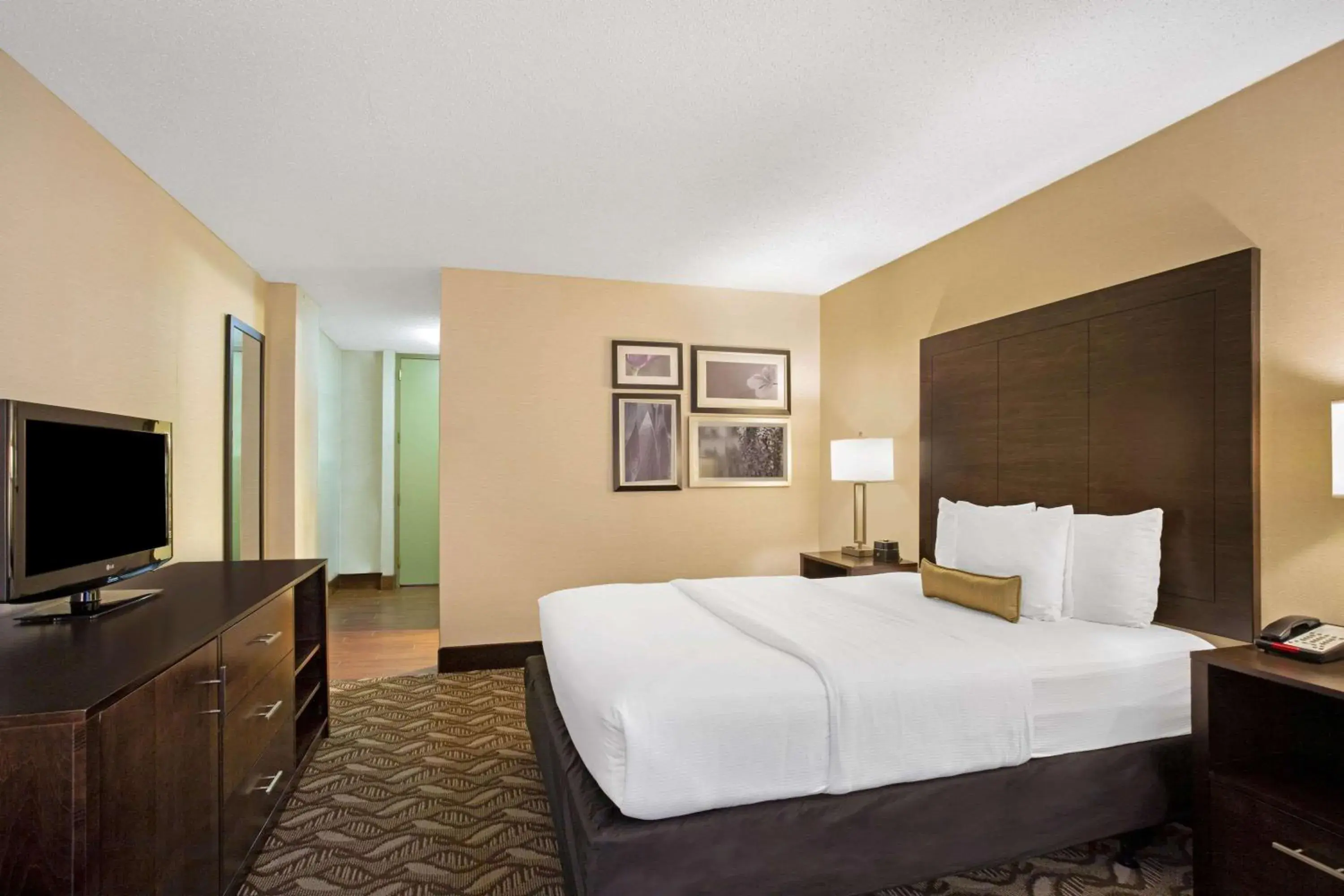 Queen Room - Disability Access in La Quinta by Wyndham Springfield Queen Room - Disability Access in La Quinta by Wyndham Springfield