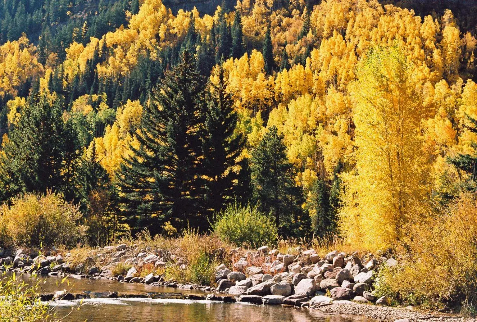 Vail Racquet Club Mountain Resort Vail Racquet Club Mountain Resort