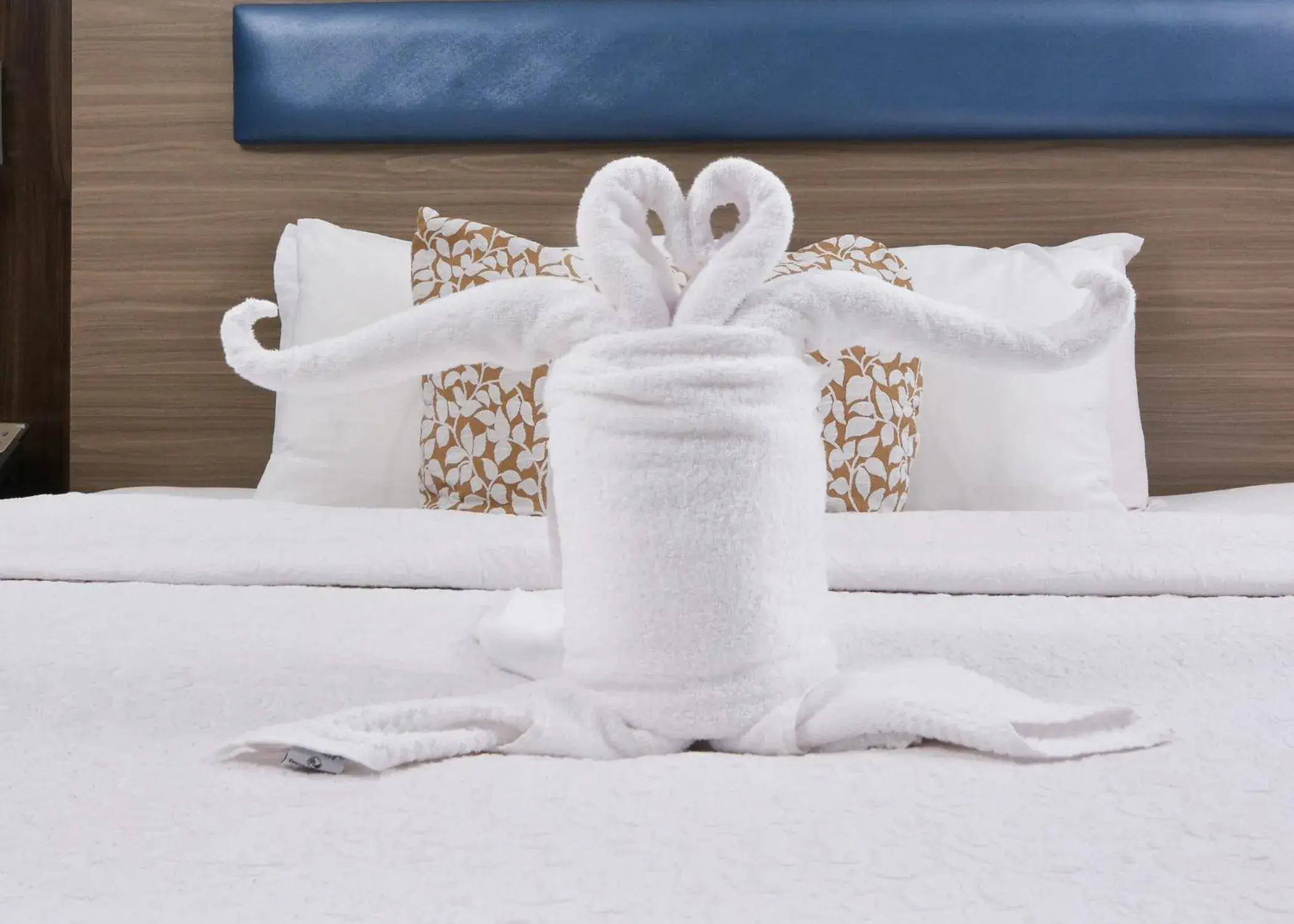 King Suite - Non-Smoking in Brookstone Lodge near Biltmore Village, an Ascend Collection Hotel King Suite - Non-Smoking in Brookstone Lodge near Biltmore Village, an Ascend Collection Hotel