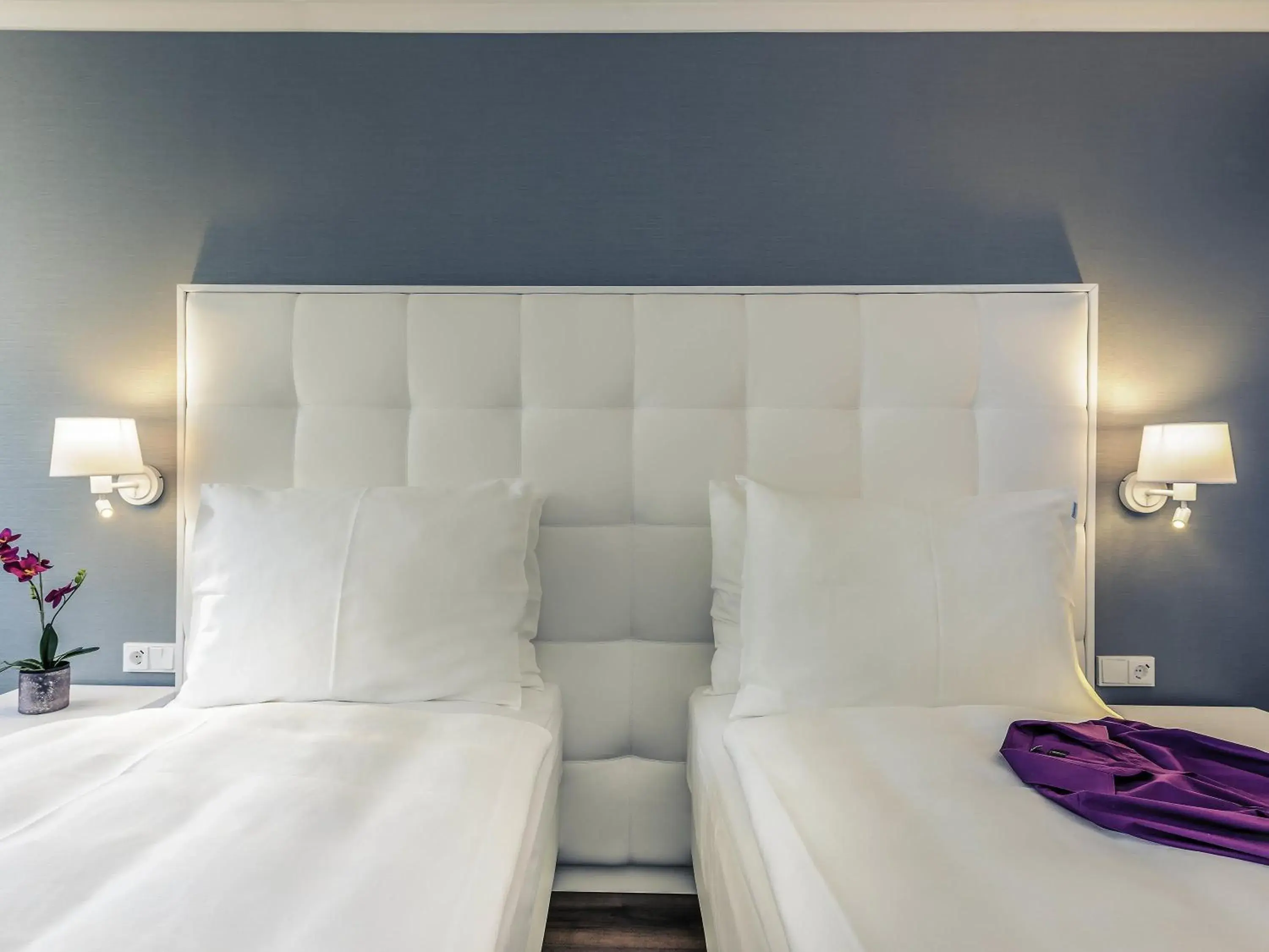 Standard Twin Room in Mercure Hotel Raphael Wien Standard Twin Room in Mercure Hotel Raphael Wien