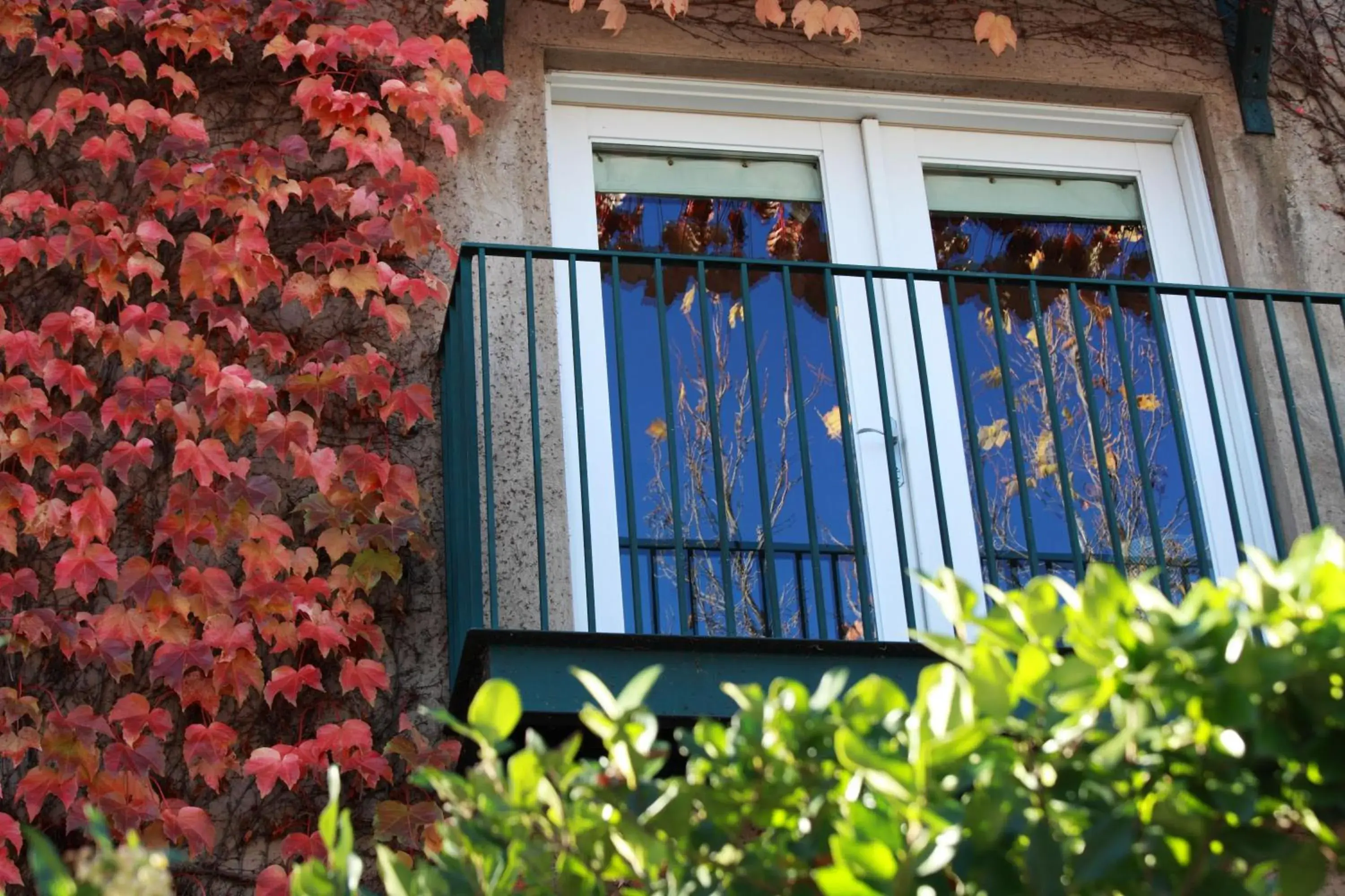 King Preferred- Disability Access in Southbridge Napa Valley King Preferred- Disability Access in Southbridge Napa Valley