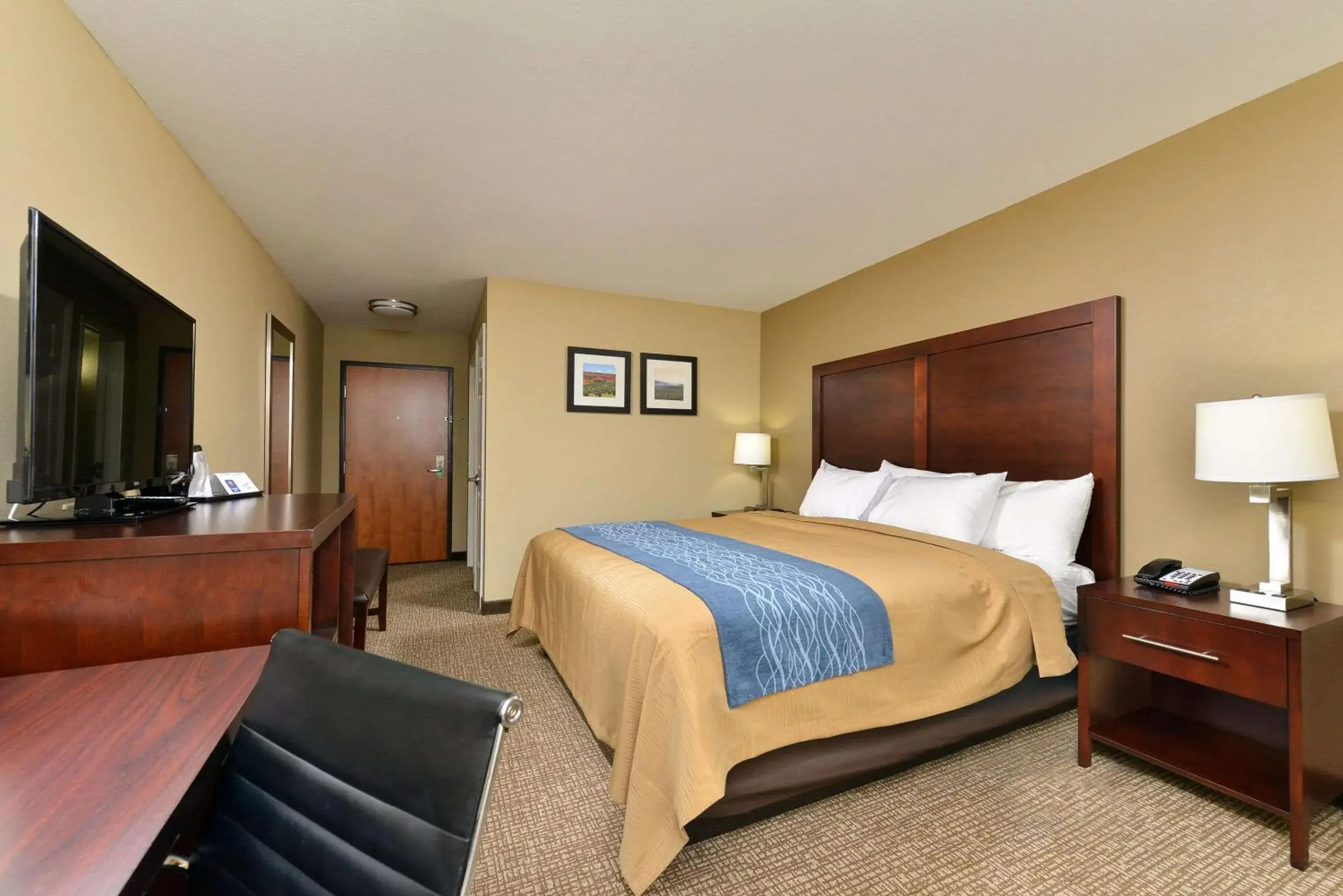 King Room - Non-Smoking in Comfort Inn and Suites Manheim King Room - Non-Smoking in Comfort Inn and Suites Manheim