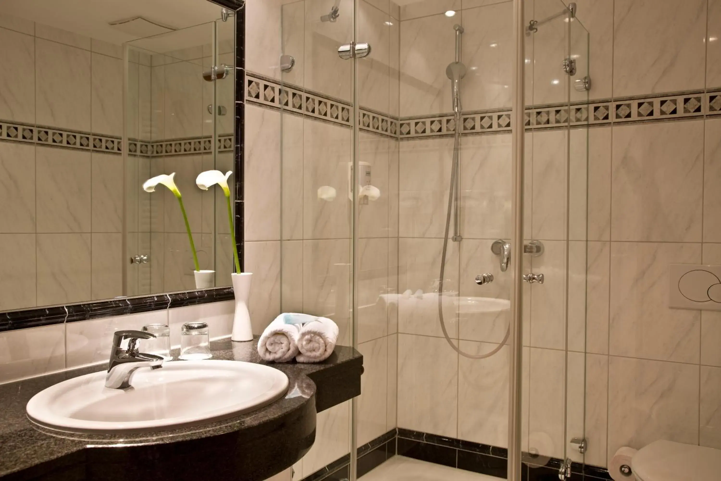 Standard Single Room in Germanenhof Standard Single Room in Germanenhof