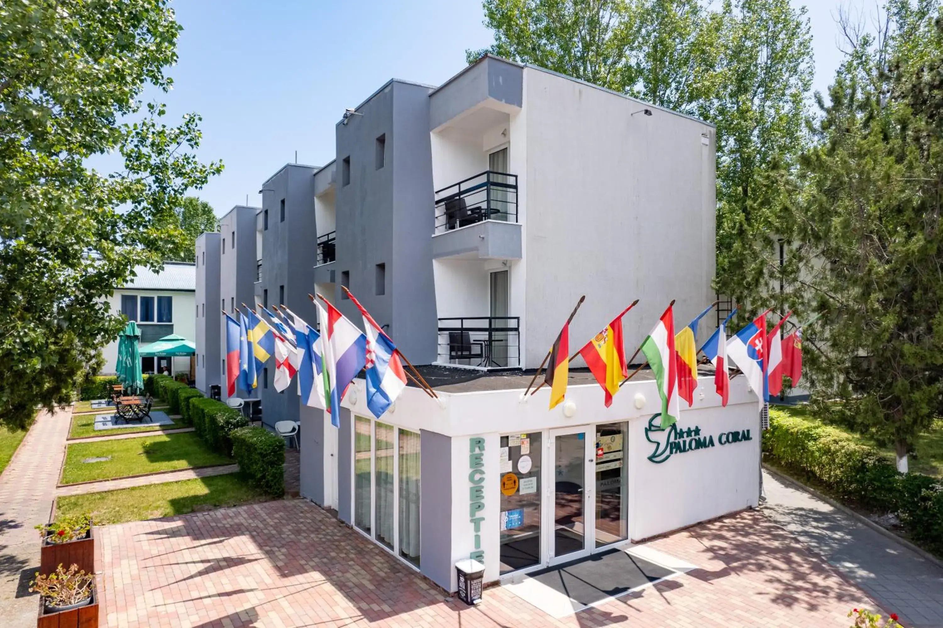 Complex Paloma Coral Complex Paloma Coral