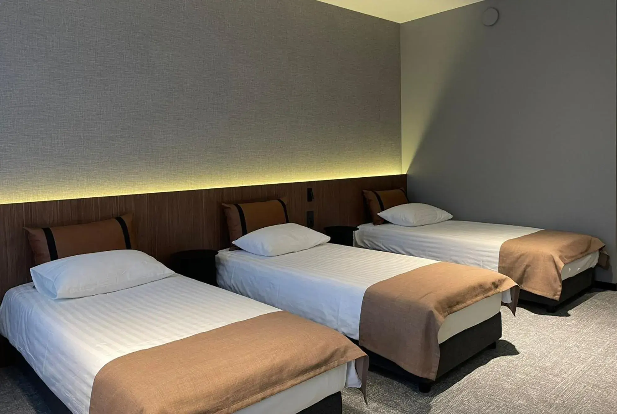 Large Triple Room in Pan Tadeusz Large Triple Room in Pan Tadeusz