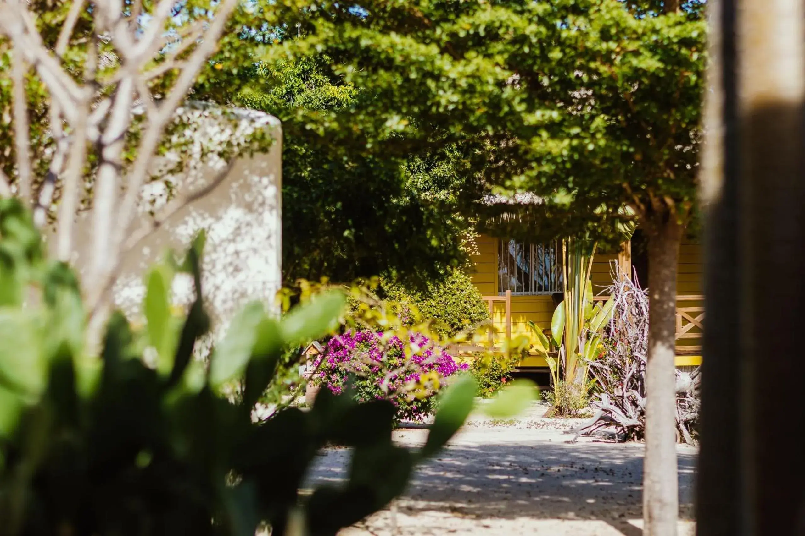 Suite Pool Senior – Vue Mer in Antsanitia Resort Suite Pool Senior – Vue Mer in Antsanitia Resort