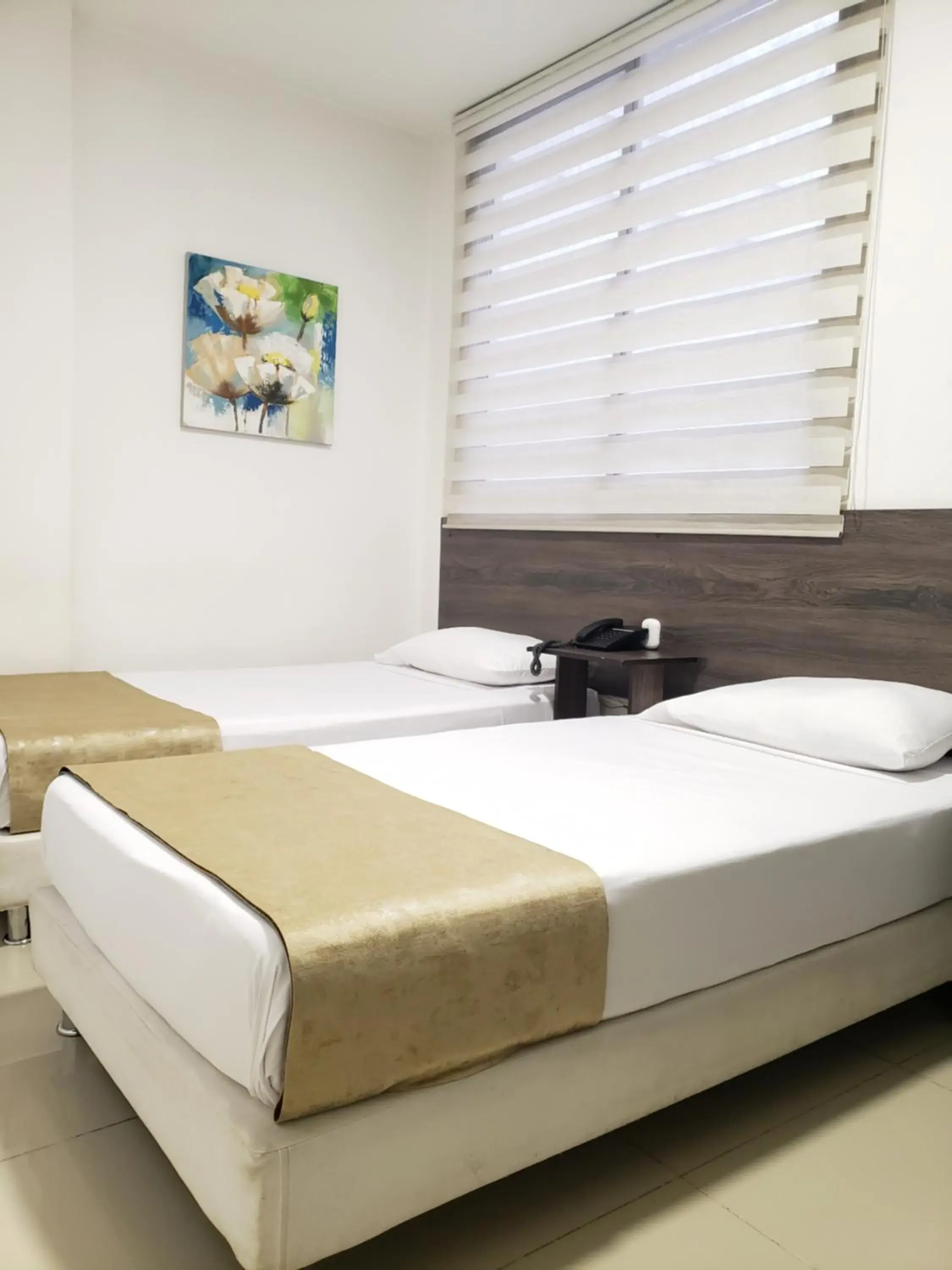 Budget Twin Room in Hotel Suite Center Pereira Budget Twin Room in Hotel Suite Center Pereira