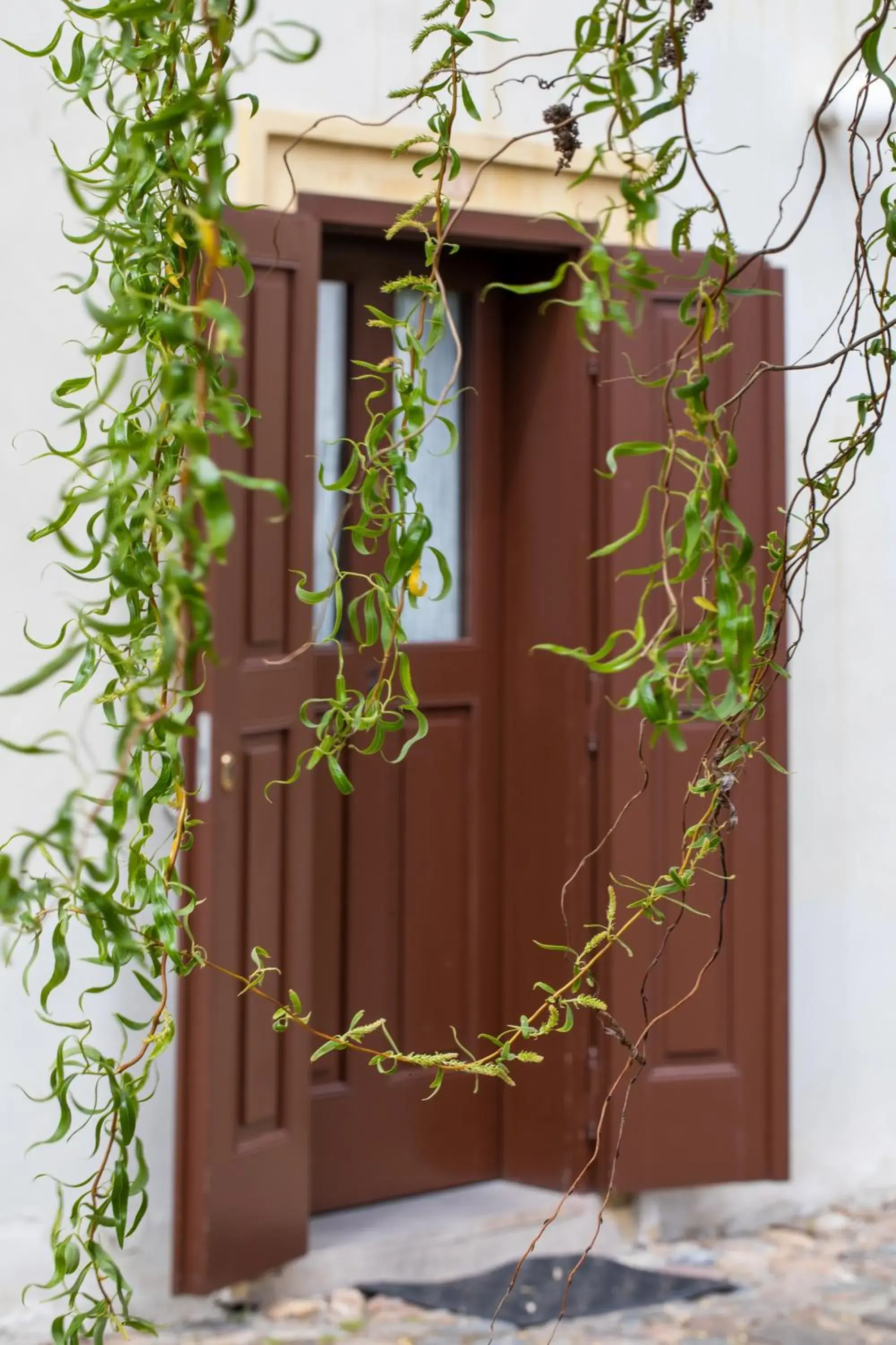Single Room in Loreta Hotel Single Room in Loreta Hotel
