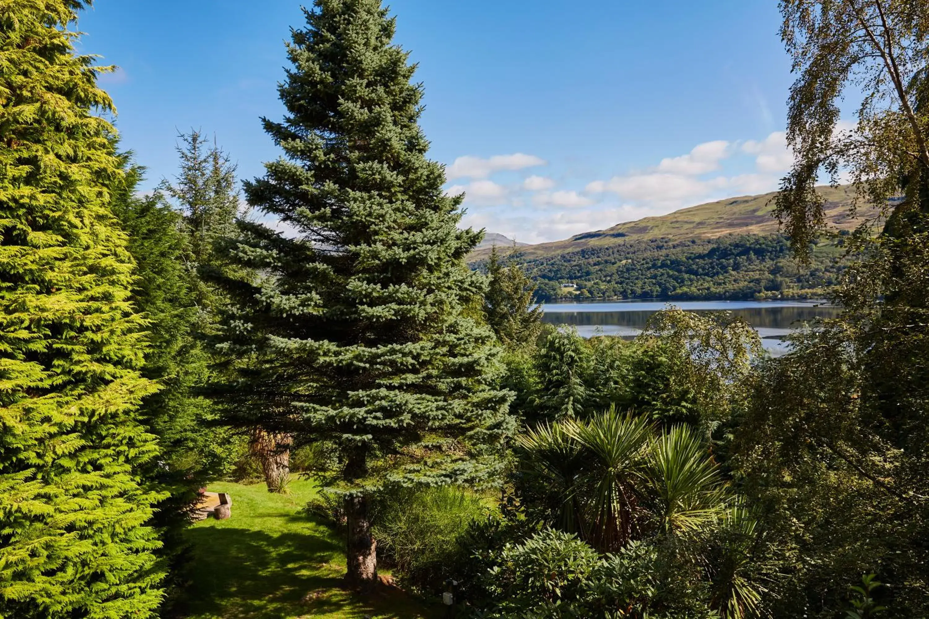 LOCH TAY HIGHLAND LODGES and GLAMPING PARK LOCH TAY HIGHLAND LODGES and GLAMPING PARK