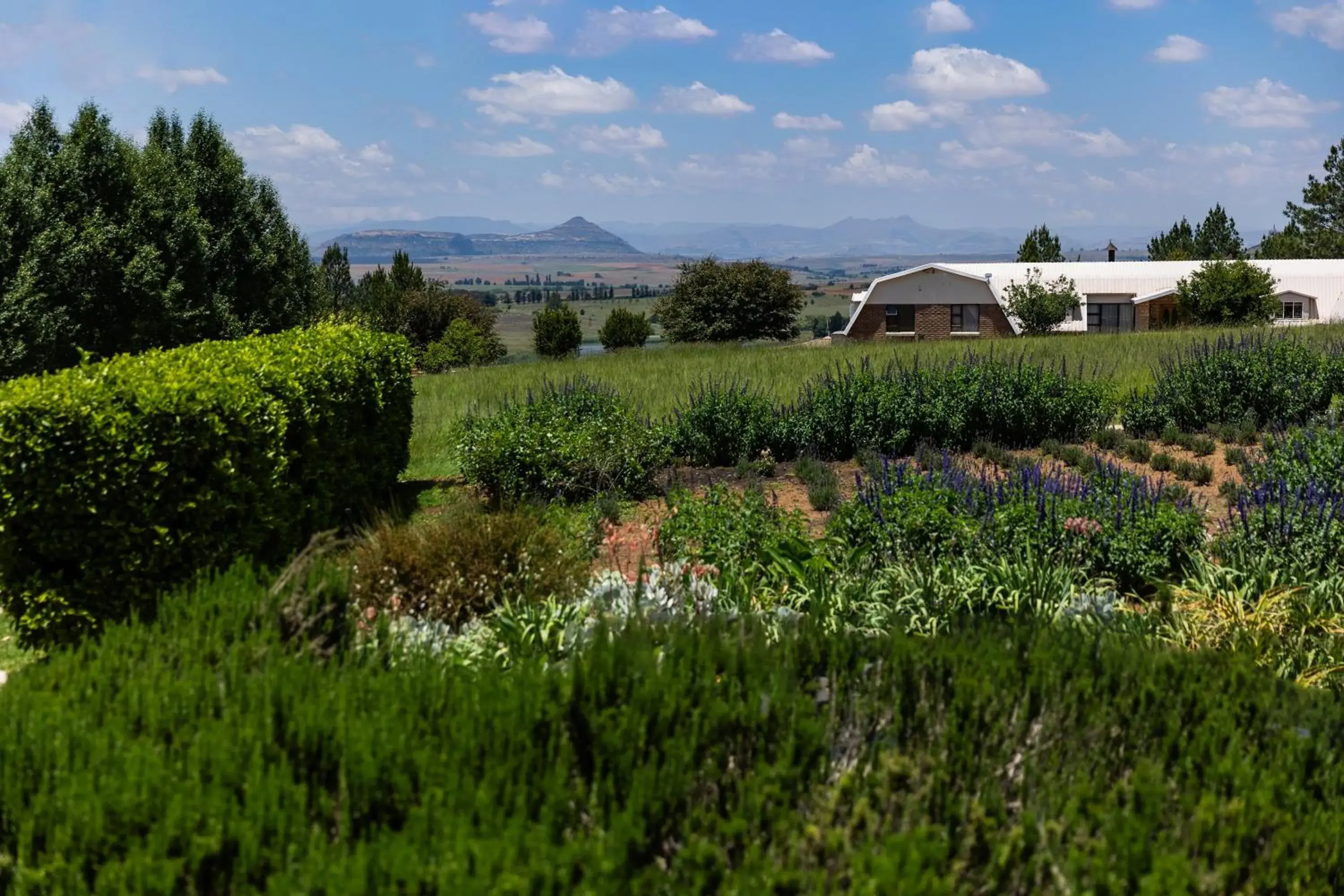Lavender Hill Country Estate and Wedding Venue Lavender Hill Country Estate and Wedding Venue