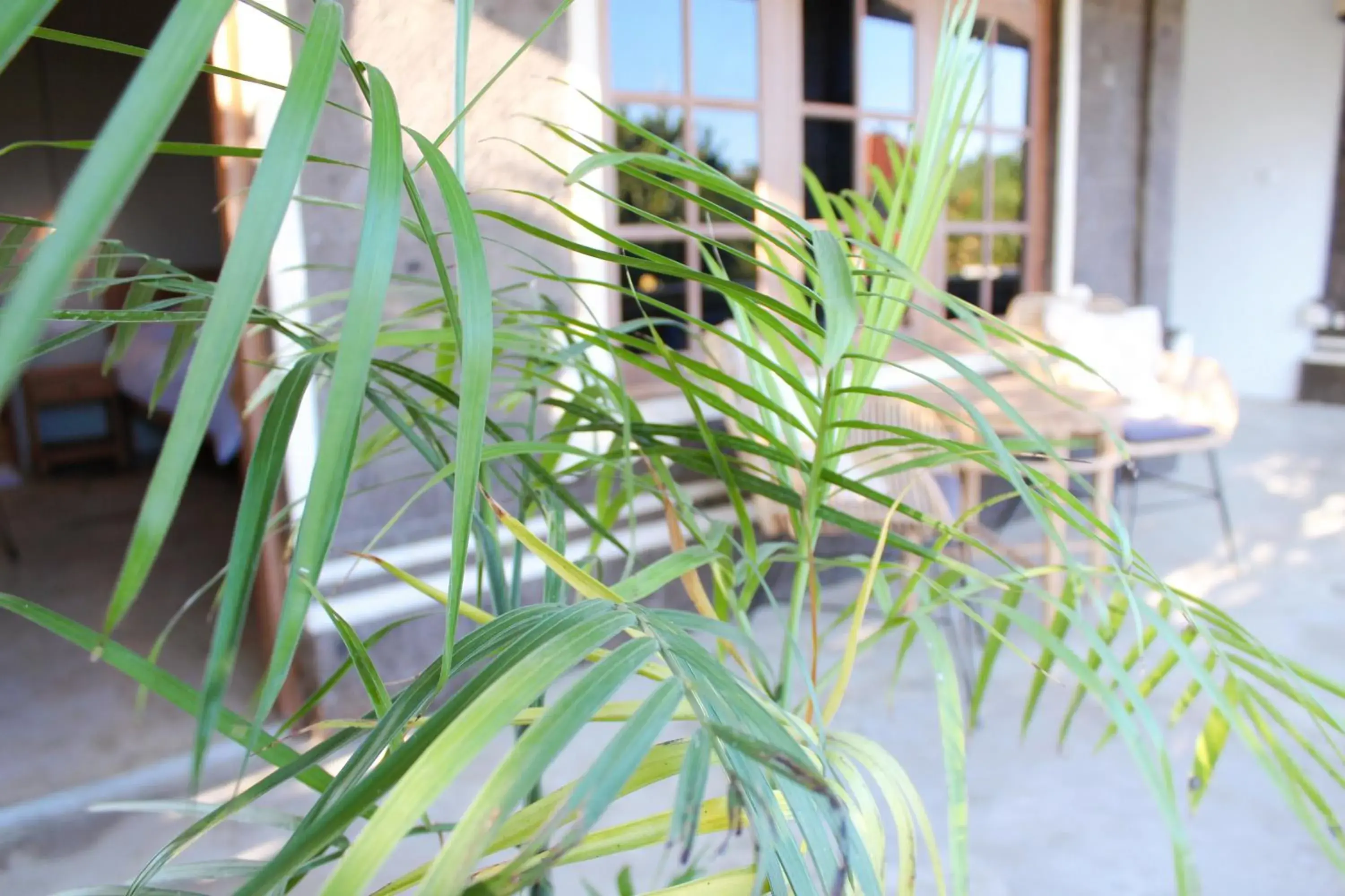 Twin Room in The Inn Possible Twin Room in The Inn Possible