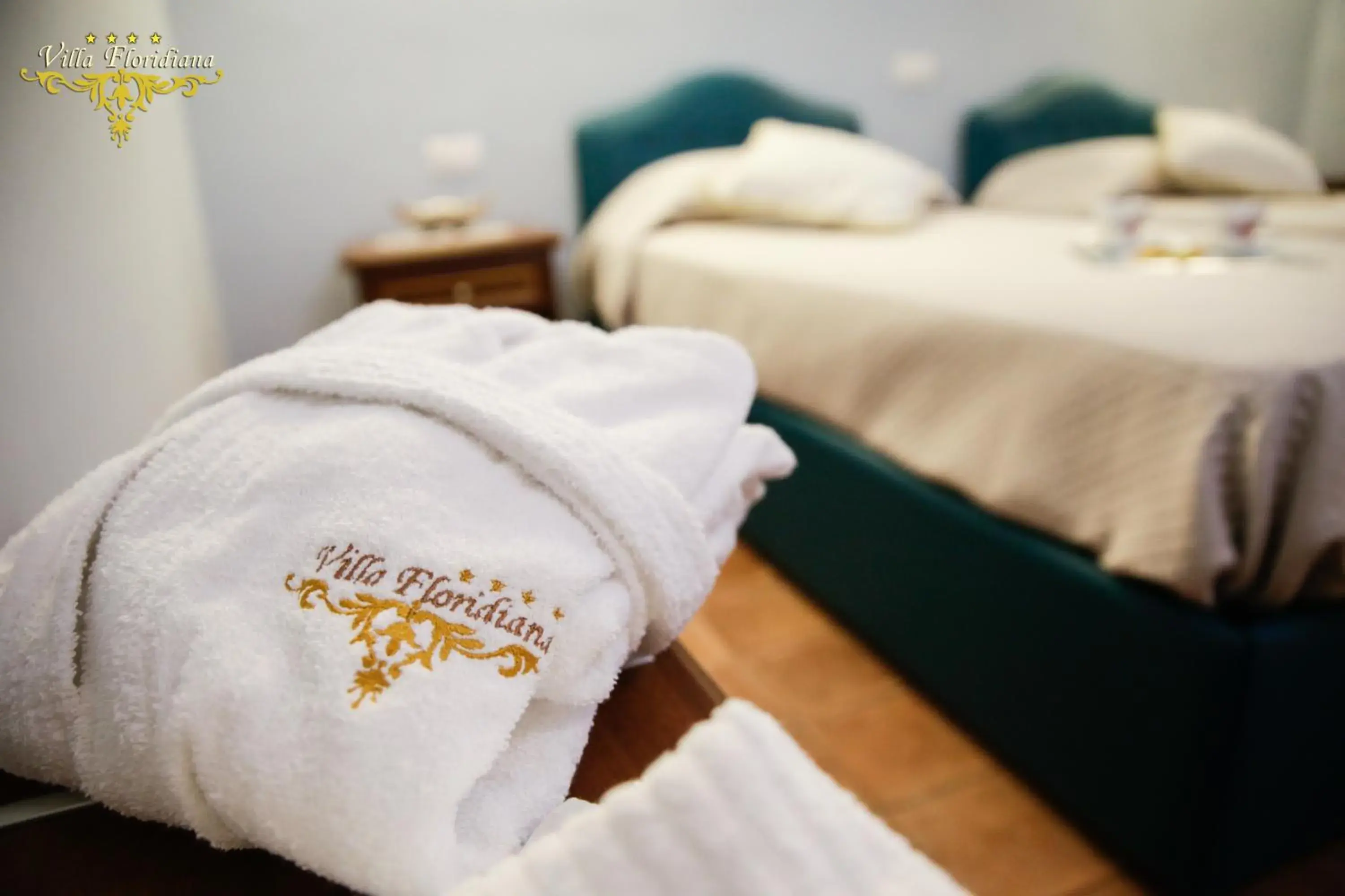 Large Twin Room in Villa Floridiana Large Twin Room in Villa Floridiana