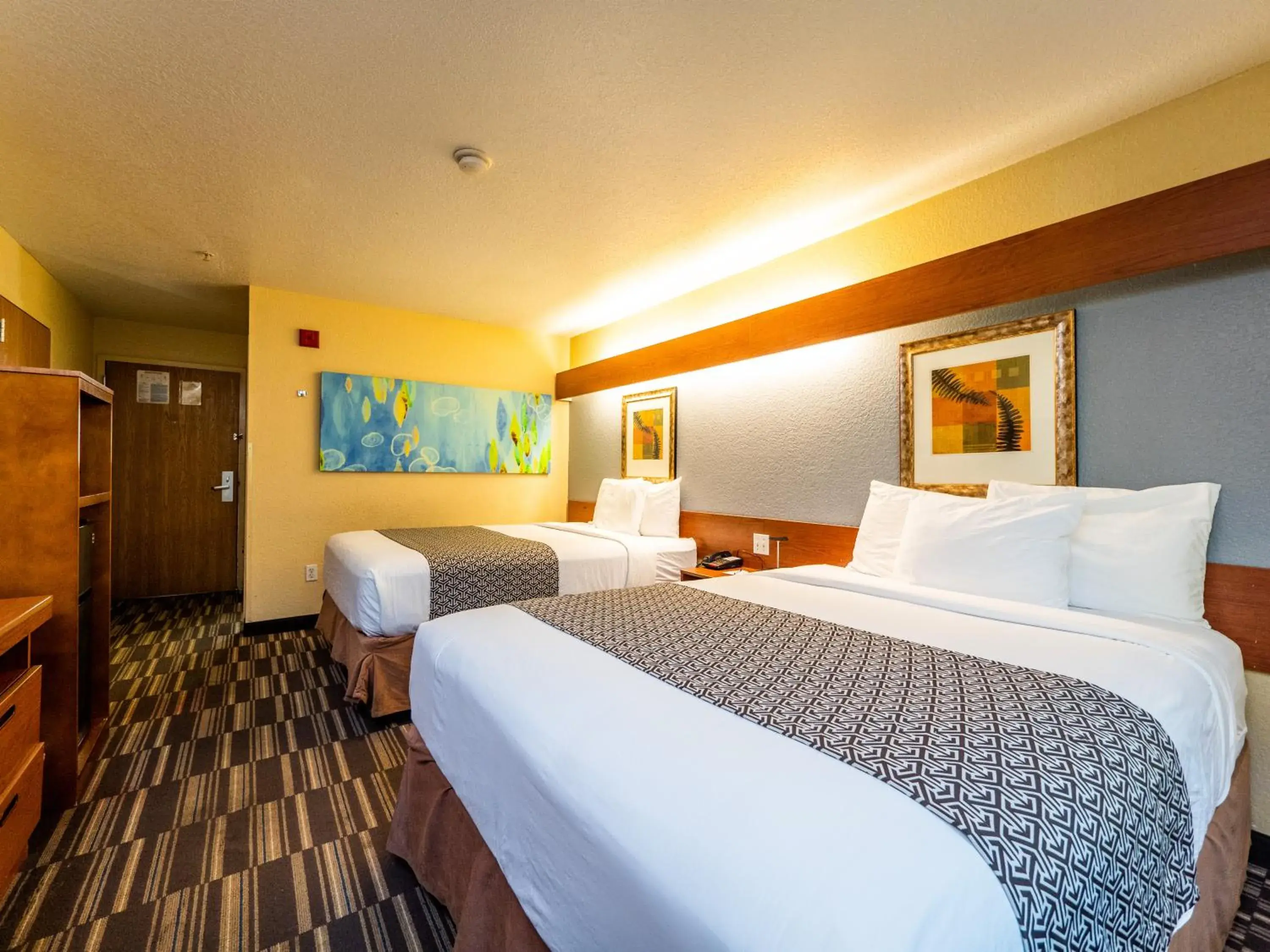 Queen Room with Two Queen Beds - Non-Smoking in Microtel Inn and Suites Ocala Queen Room with Two Queen Beds - Non-Smoking in Microtel Inn and Suites Ocala