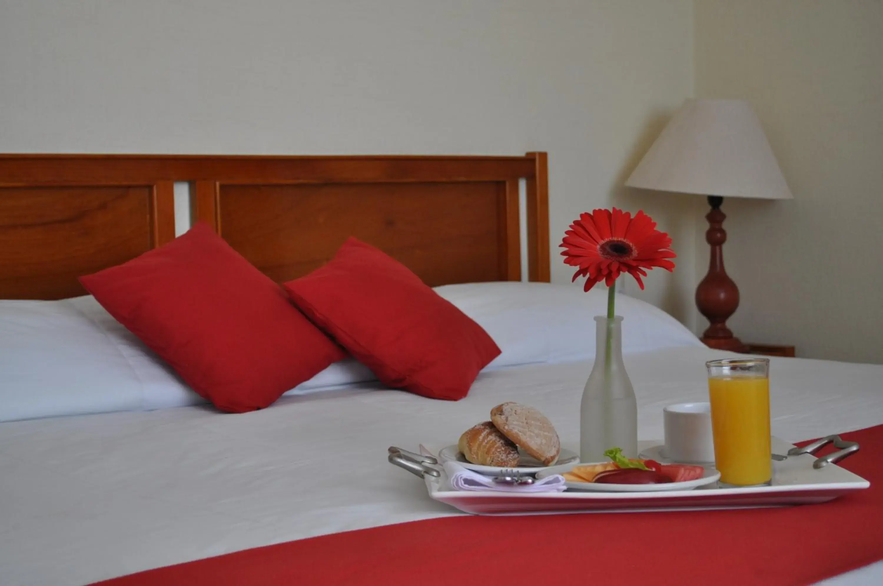 Standard Suite - single occupancy in Hotel Señorial Tlaxcala Standard Suite - single occupancy in Hotel Señorial Tlaxcala