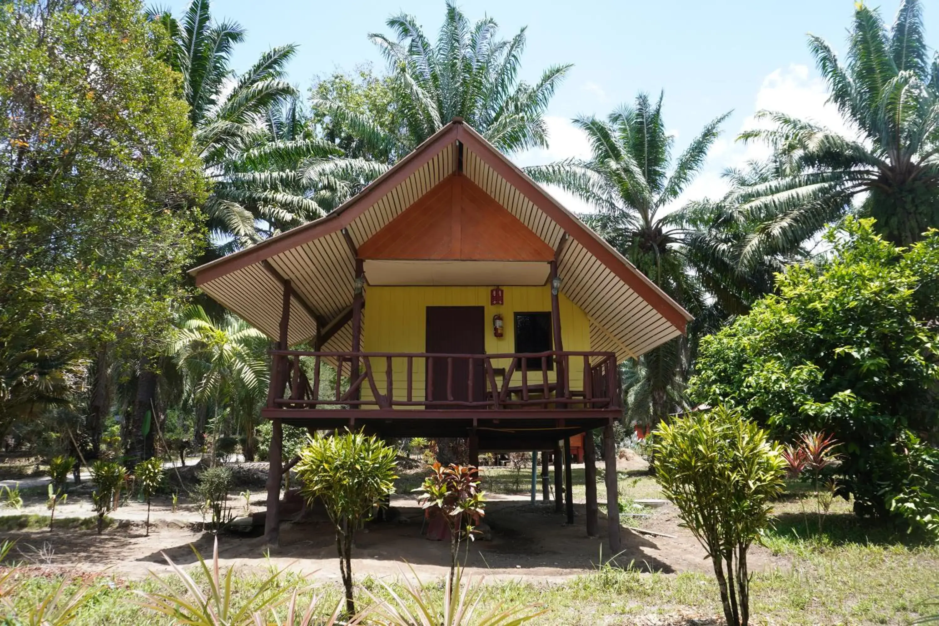 Cottage with Garden View in Khao Sok Palmview Resort Cottage with Garden View in Khao Sok Palmview Resort