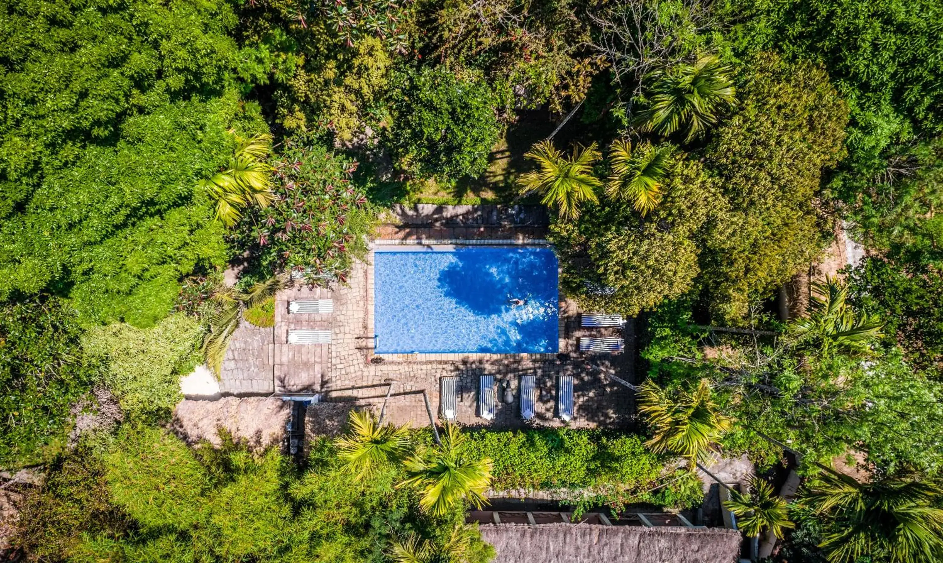 Amritara Shalimar Spice Garden Resort & Spa Amritara Shalimar Spice Garden Resort & Spa