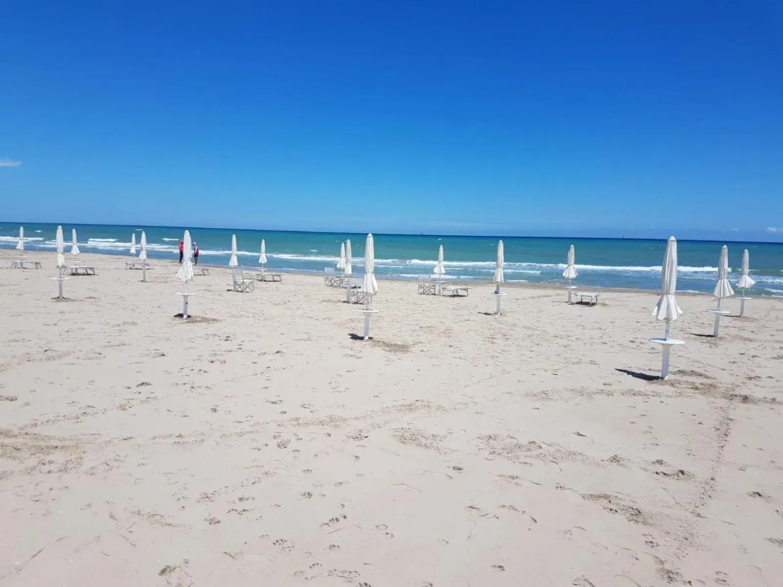 B&B ALUSEA B&B ALUSEA