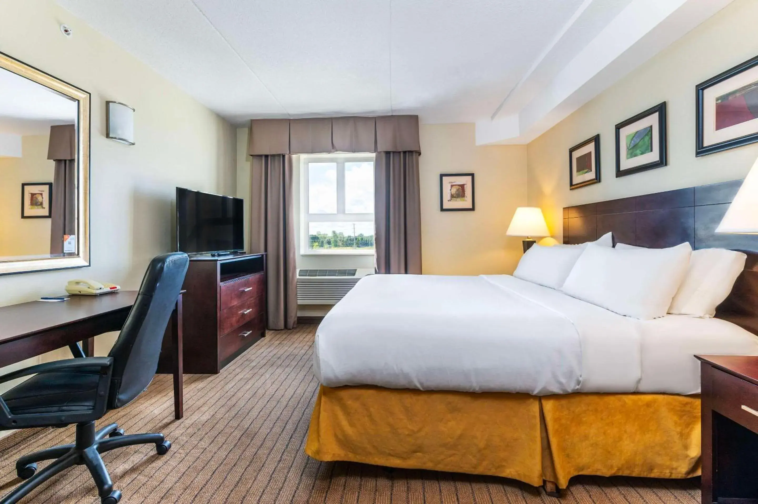 One Room King Suite - Non Smoking in Comfort Inn & Suites One Room King Suite - Non Smoking in Comfort Inn & Suites