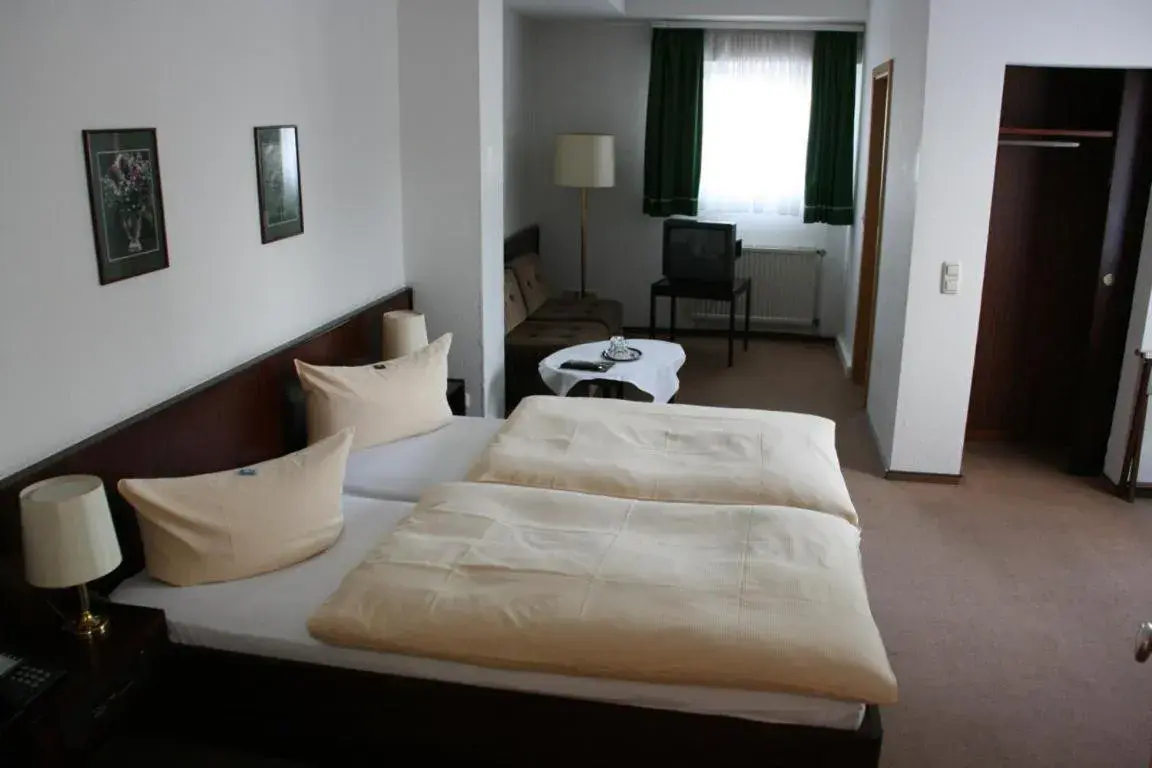 Double or Twin Room in Hotel Diening Double or Twin Room in Hotel Diening