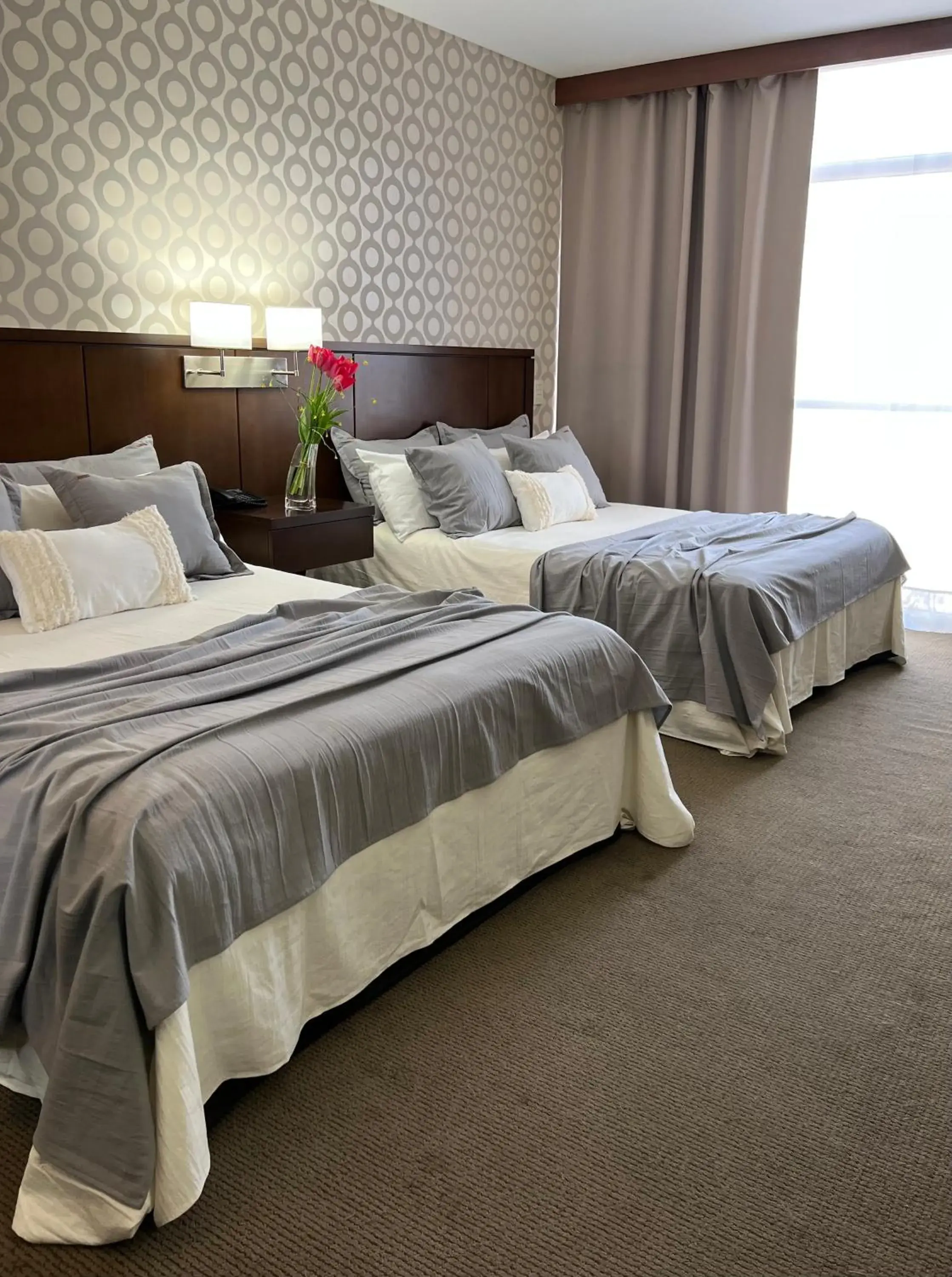 Standard Twin Room in ian Hotel Standard Twin Room in ian Hotel