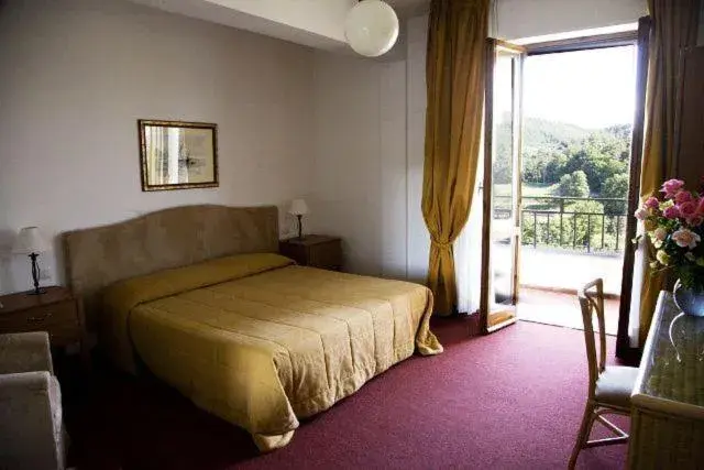 Double Room - single occupancy in Hotel Barberino Double Room - single occupancy in Hotel Barberino