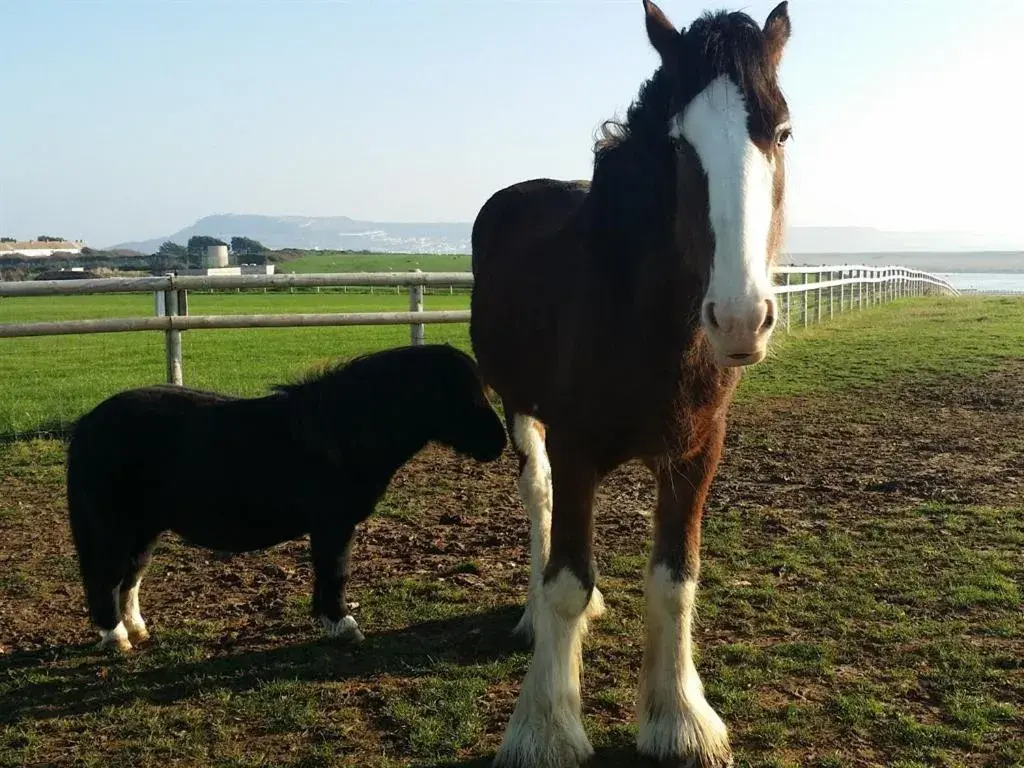 Double Room with Private Bathroom in Swallows Rest Double Room with Private Bathroom in Swallows Rest