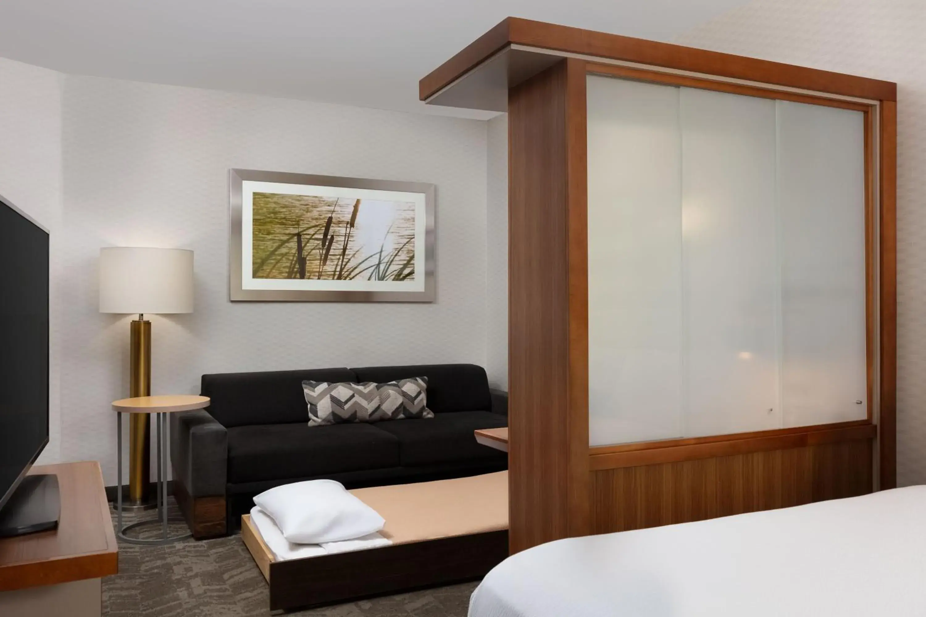 Queen Suite with Sofa Bed in SpringHill Suites by Marriott Grand Junction Downtown/Historic Main Street Queen Suite with Sofa Bed in SpringHill Suites by Marriott Grand Junction Downtown/Historic Main Street