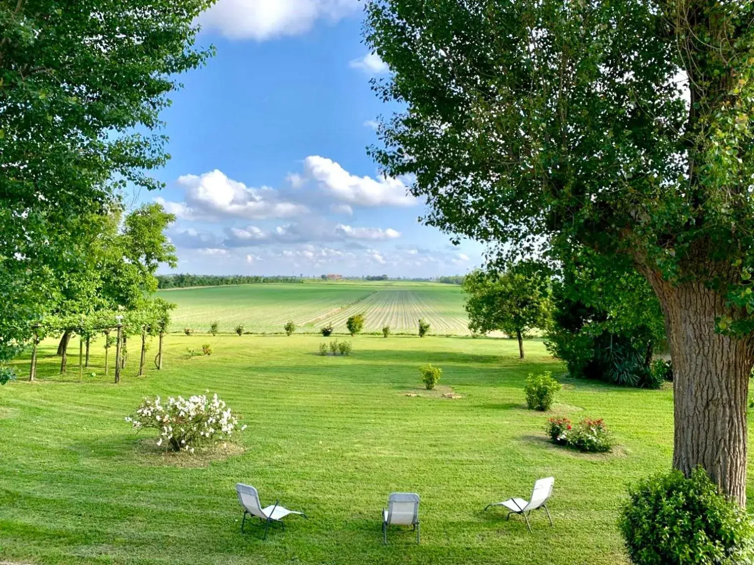 Antica Vigna Antica Vigna