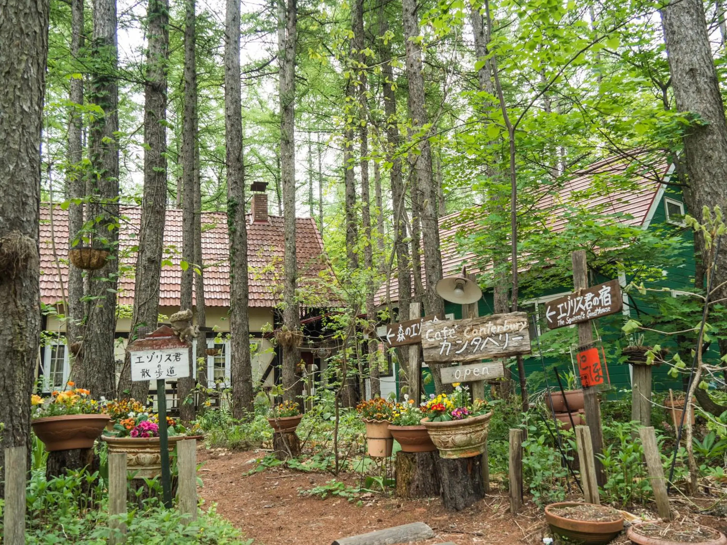 Guesthouse Canterbury Guesthouse Canterbury