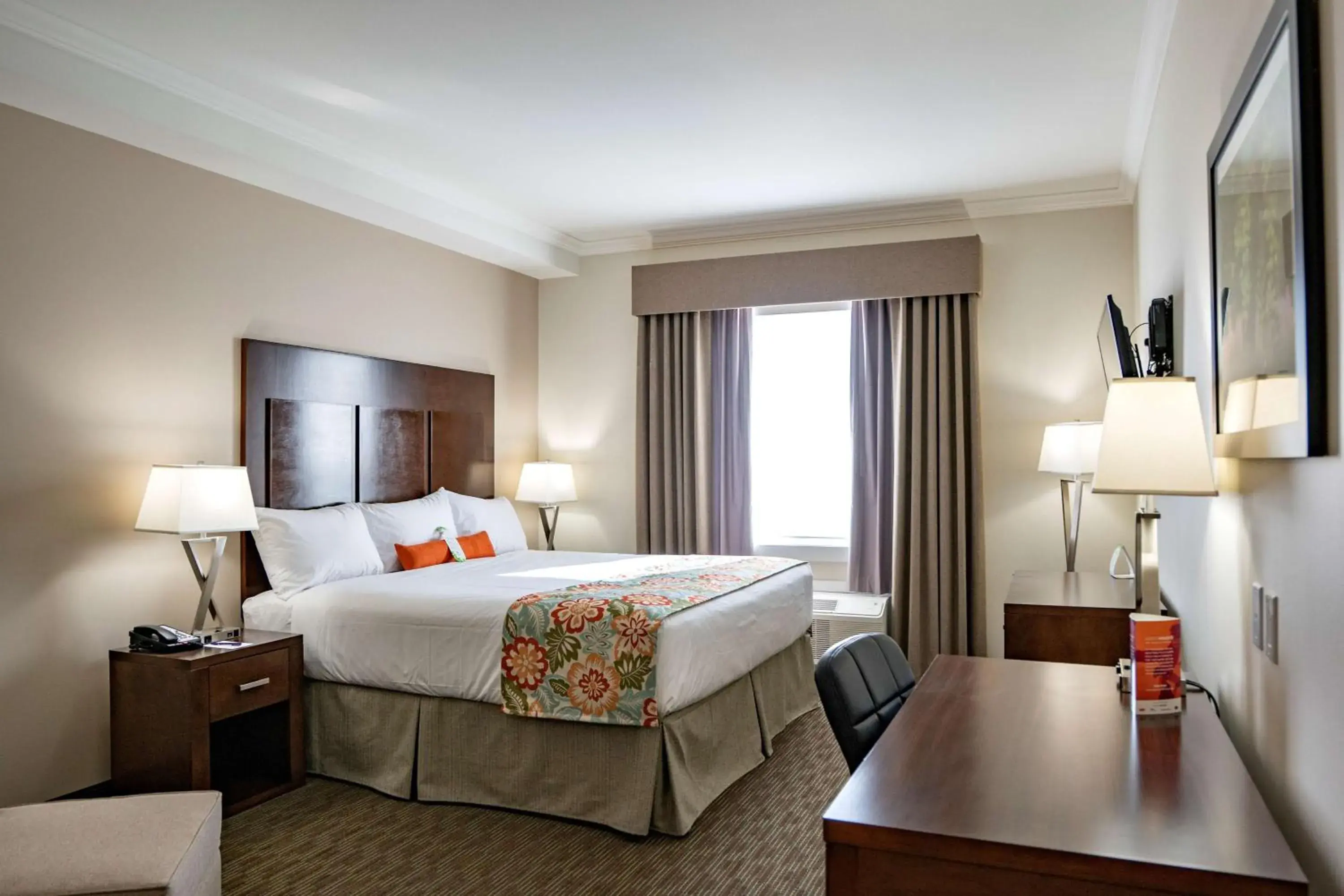 Coast King in Coast Oliver Hotel Coast King in Coast Oliver Hotel