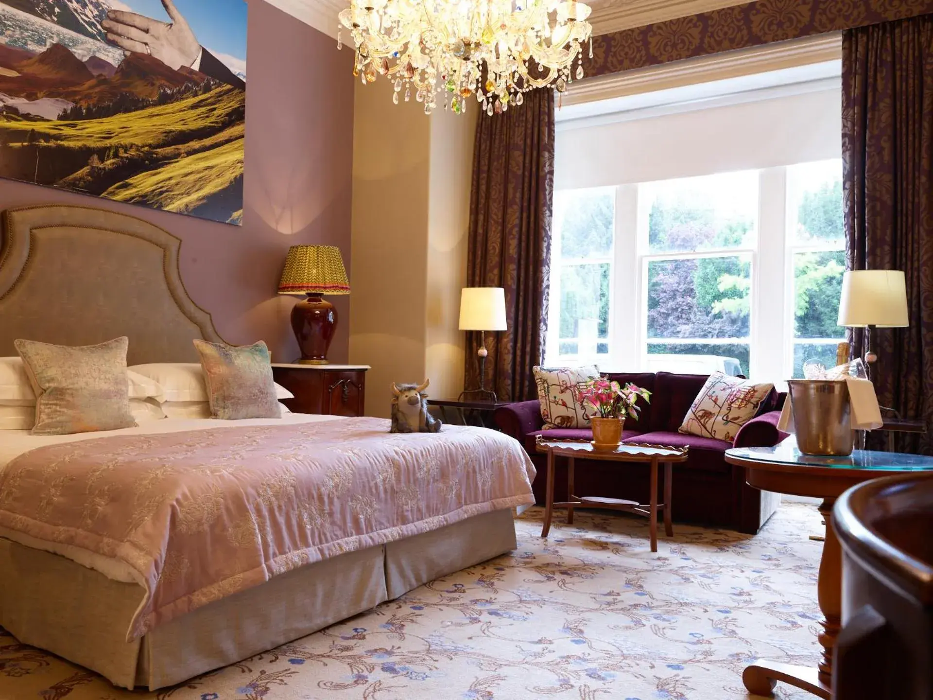 Roomy King in The Bird, Bath Roomy King in The Bird, Bath