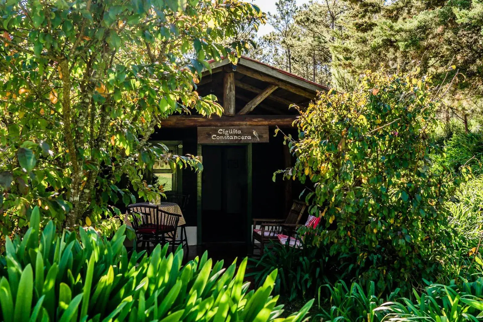 Standard Villa in Villa Pajon Eco Lodge Standard Villa in Villa Pajon Eco Lodge