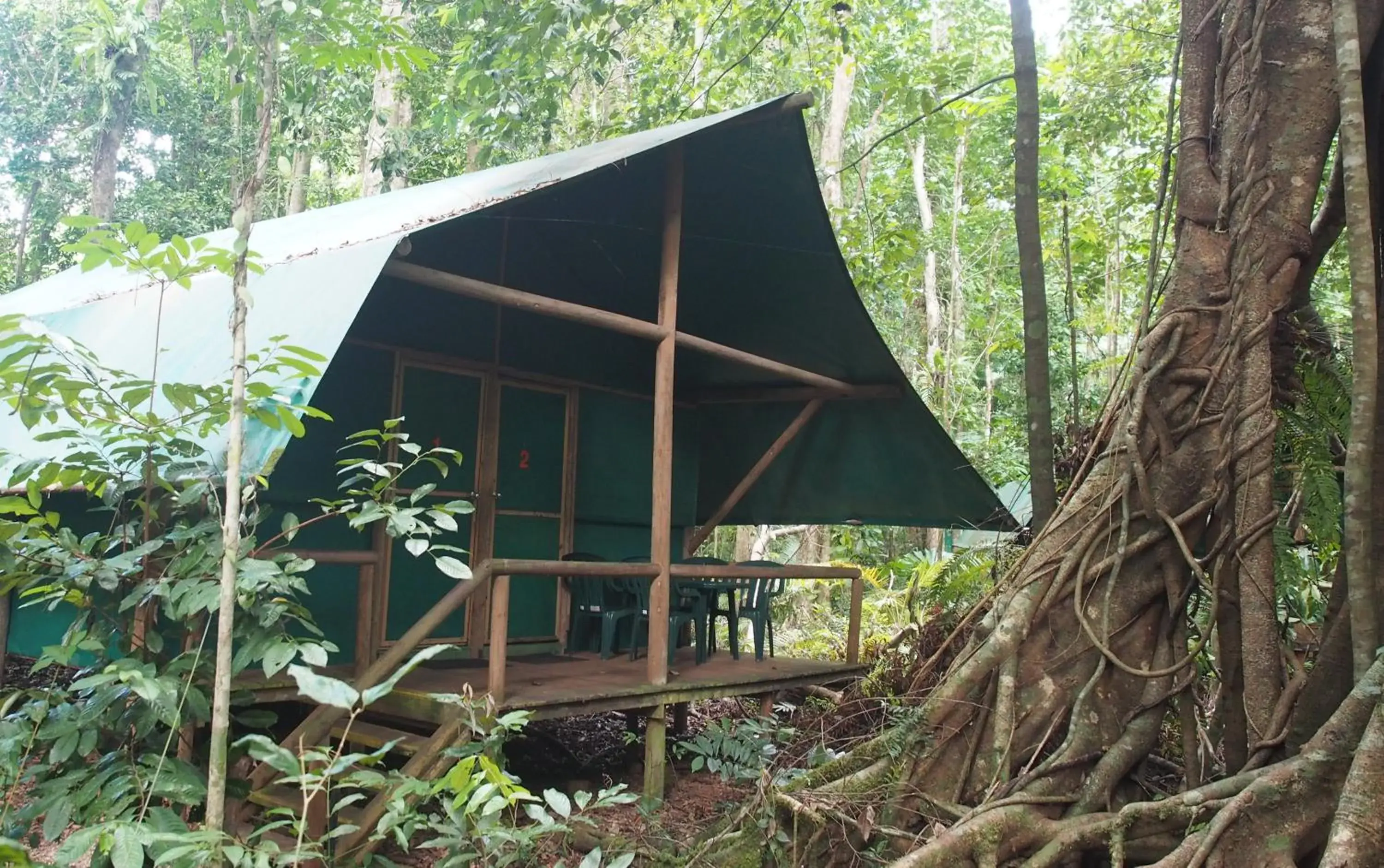 Jungle Double or Twin Room with Shared Bathroom in Daintree Crocodylus Jungle Double or Twin Room with Shared Bathroom in Daintree Crocodylus