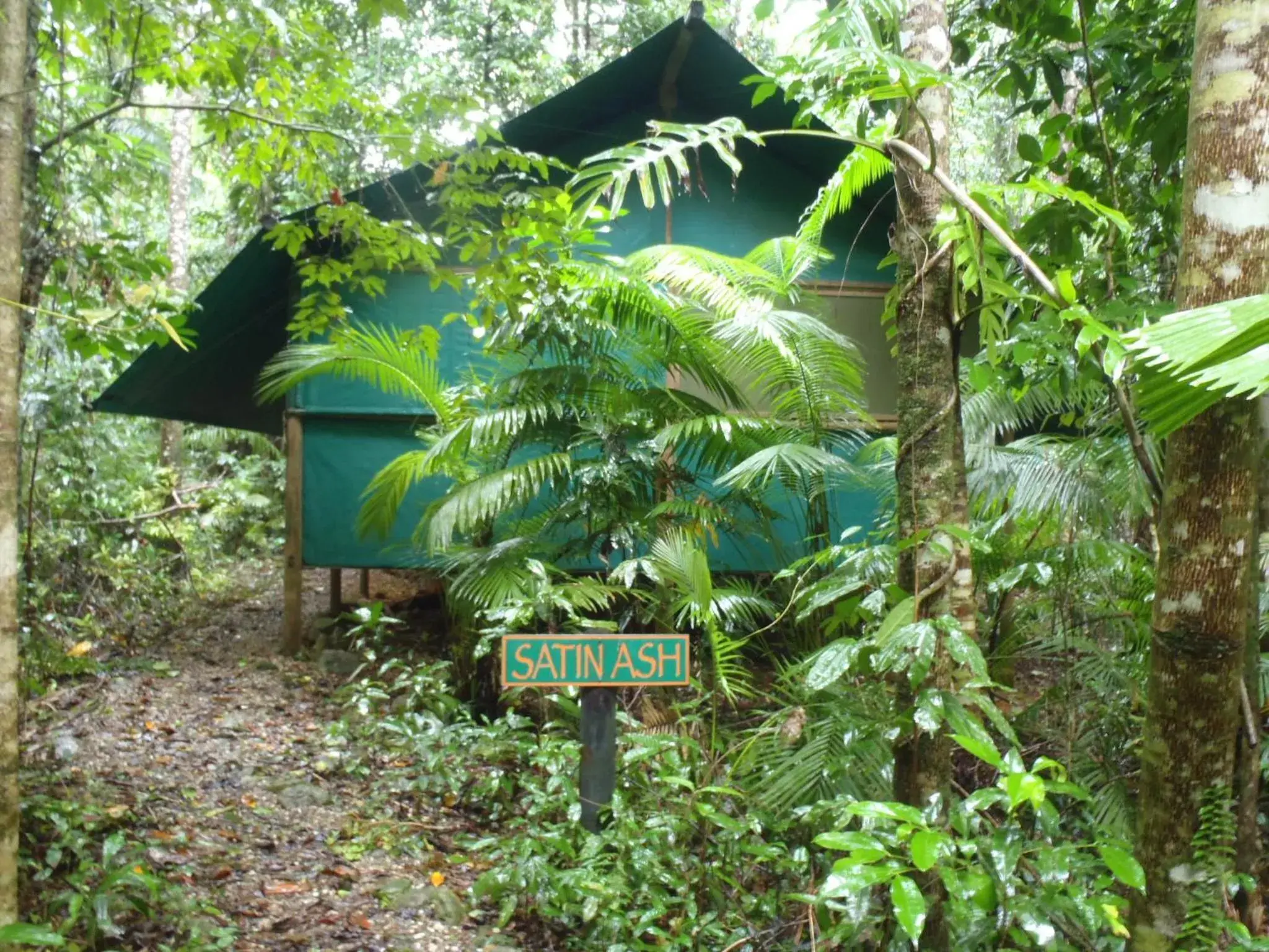 Rainforest Bungalow in Daintree Crocodylus Rainforest Bungalow in Daintree Crocodylus