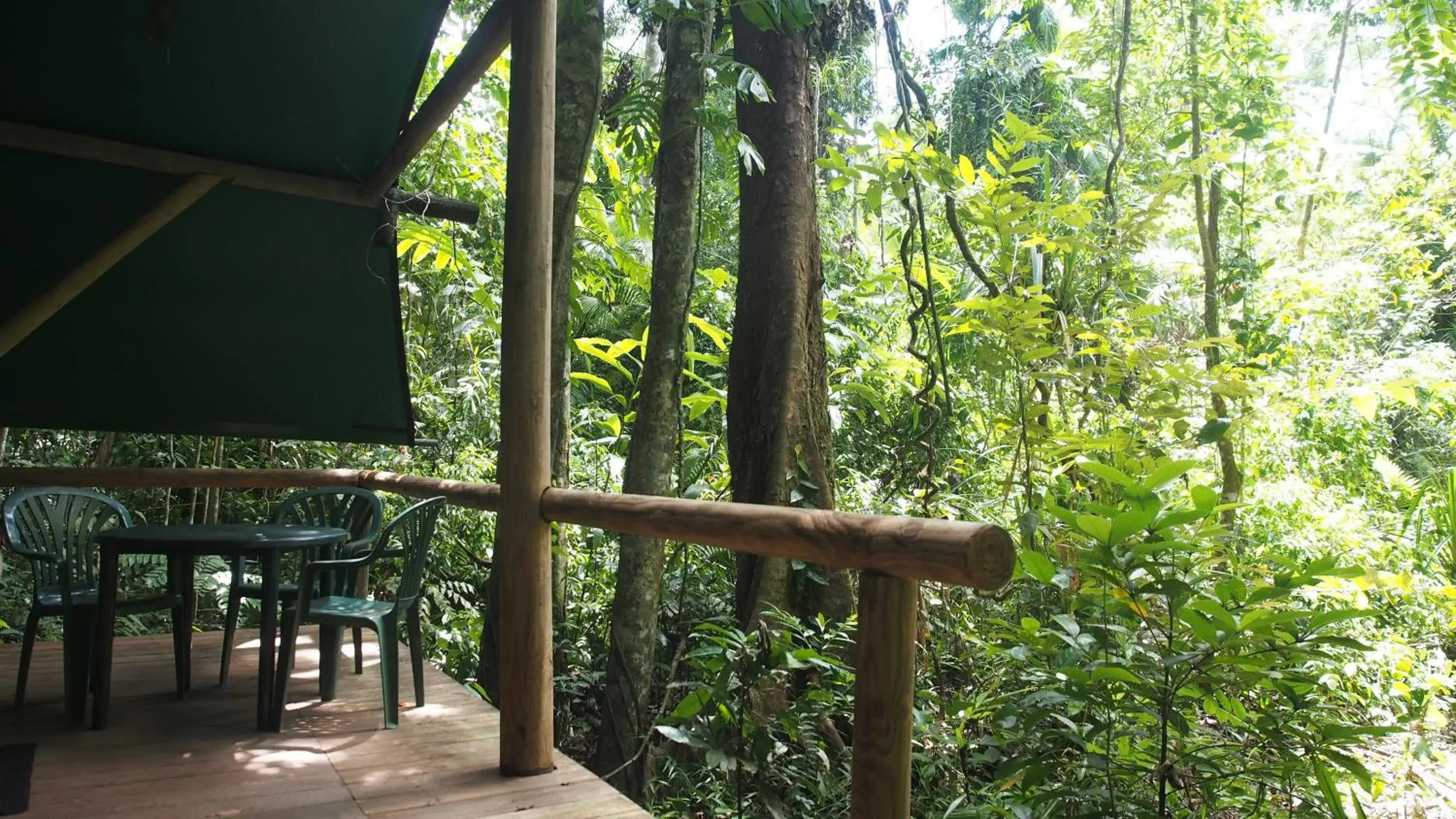 Economy Quadruple Room with Shared Bathroom in Daintree Crocodylus Economy Quadruple Room with Shared Bathroom in Daintree Crocodylus