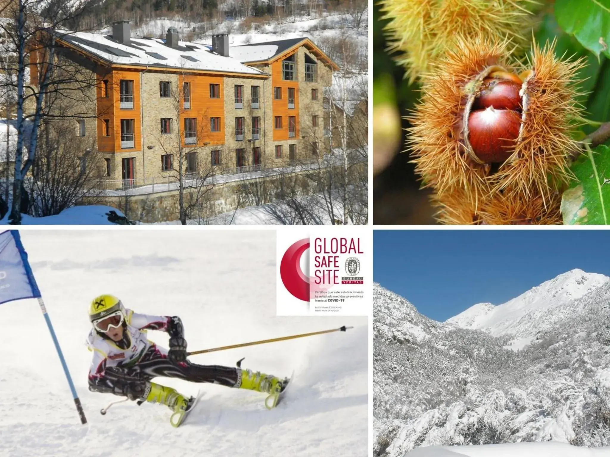 ApartHotel RIALB ApartHotel RIALB