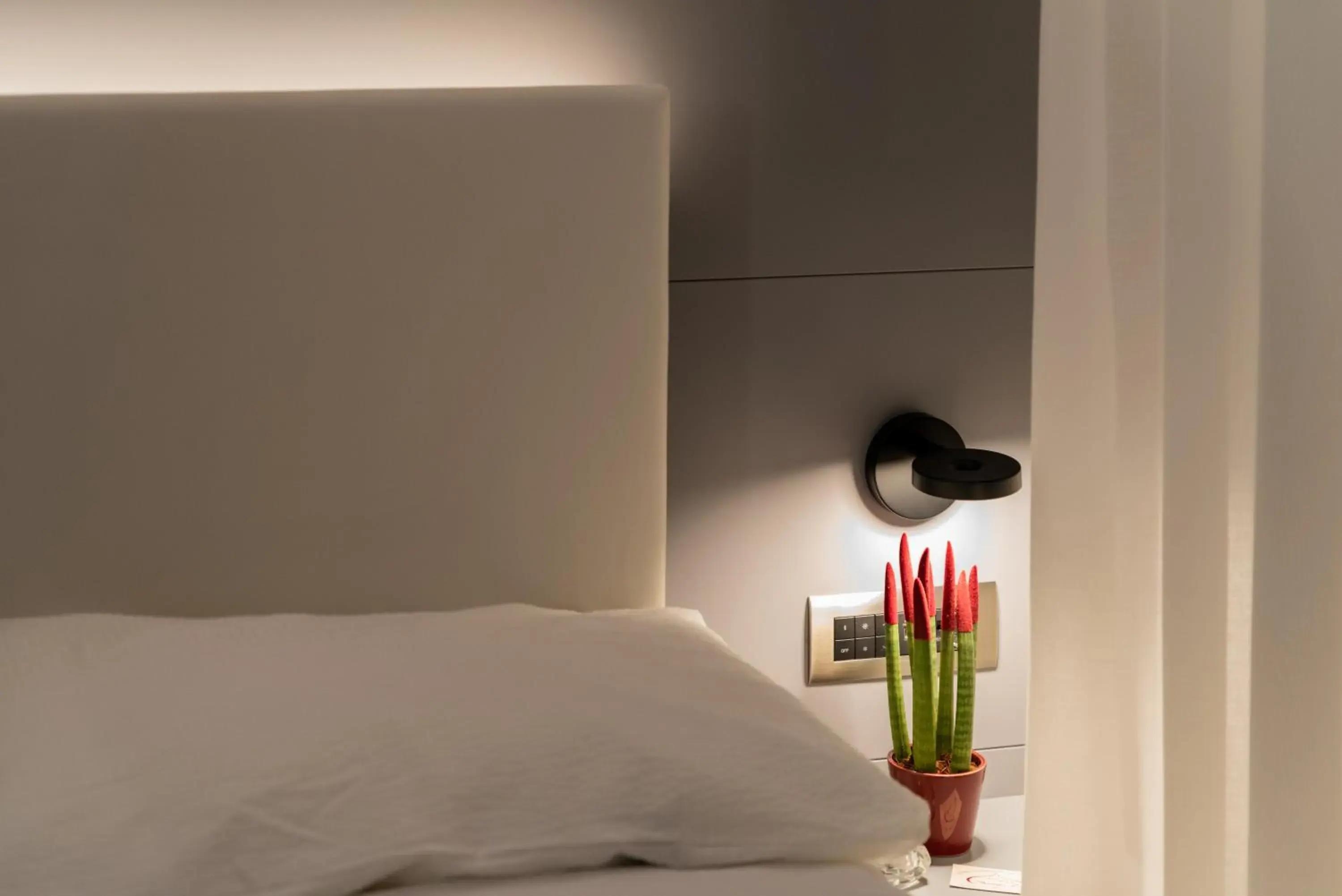 Single Room in Hotel Shangri-La Single Room in Hotel Shangri-La