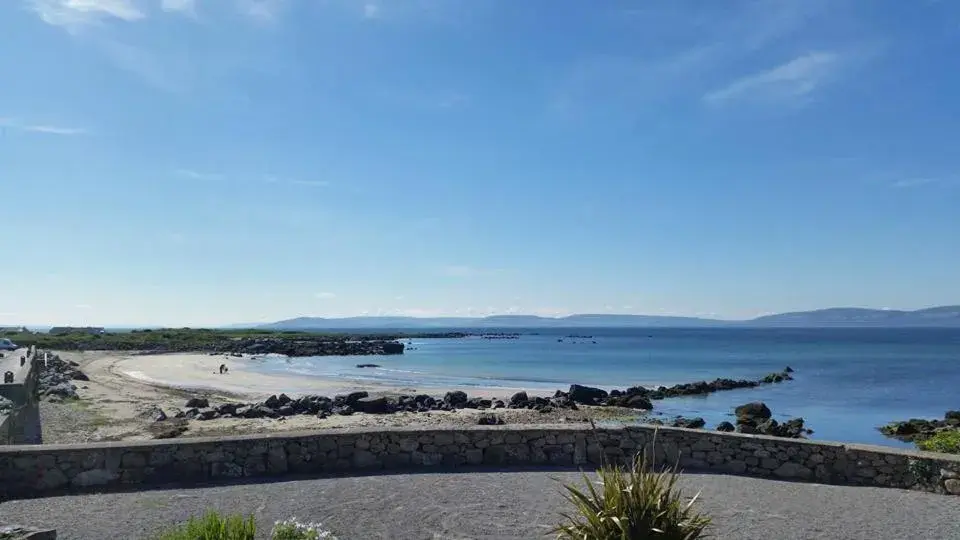 Padraicins Padraicins