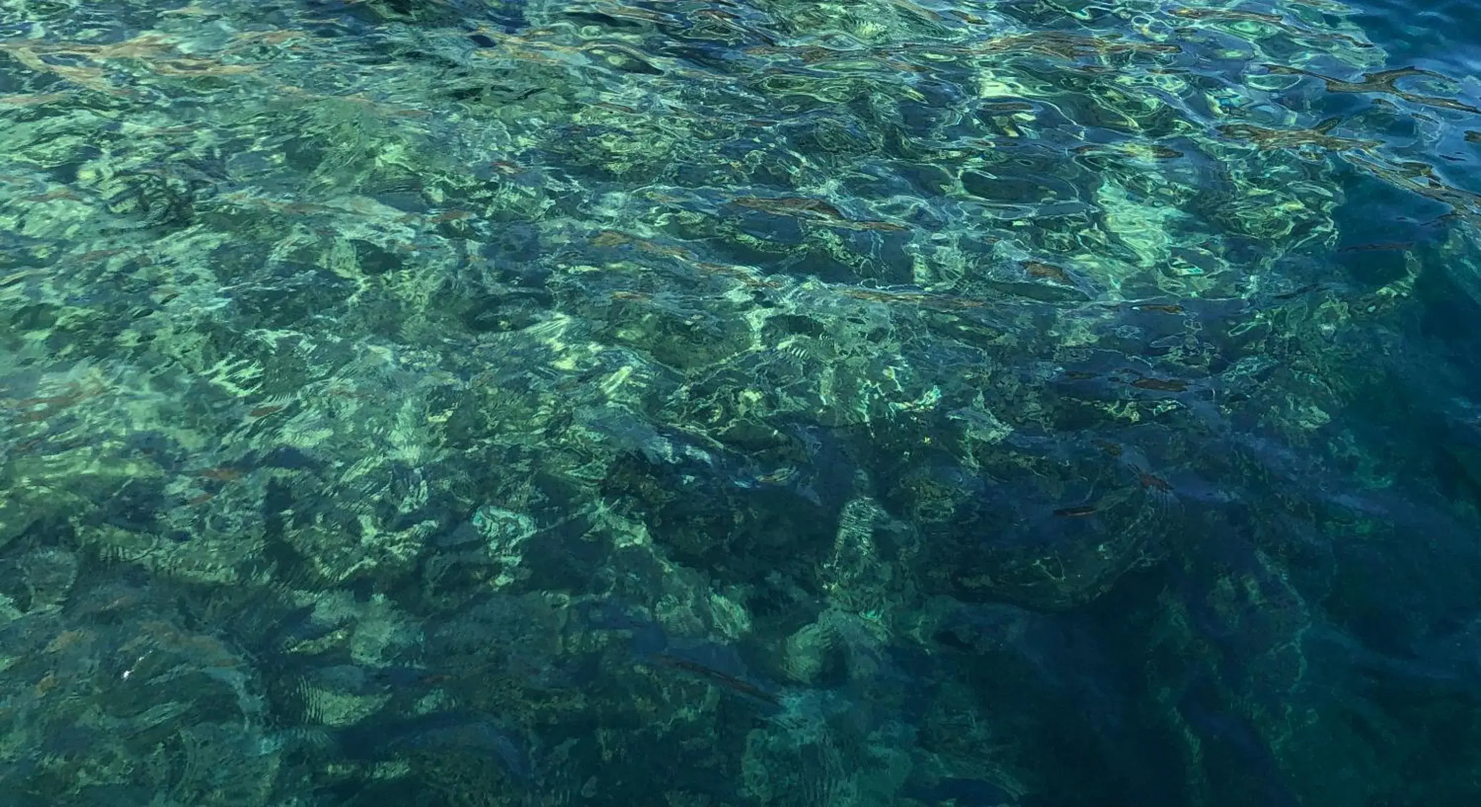 Vesuvius Terminal Vesuvius Terminal