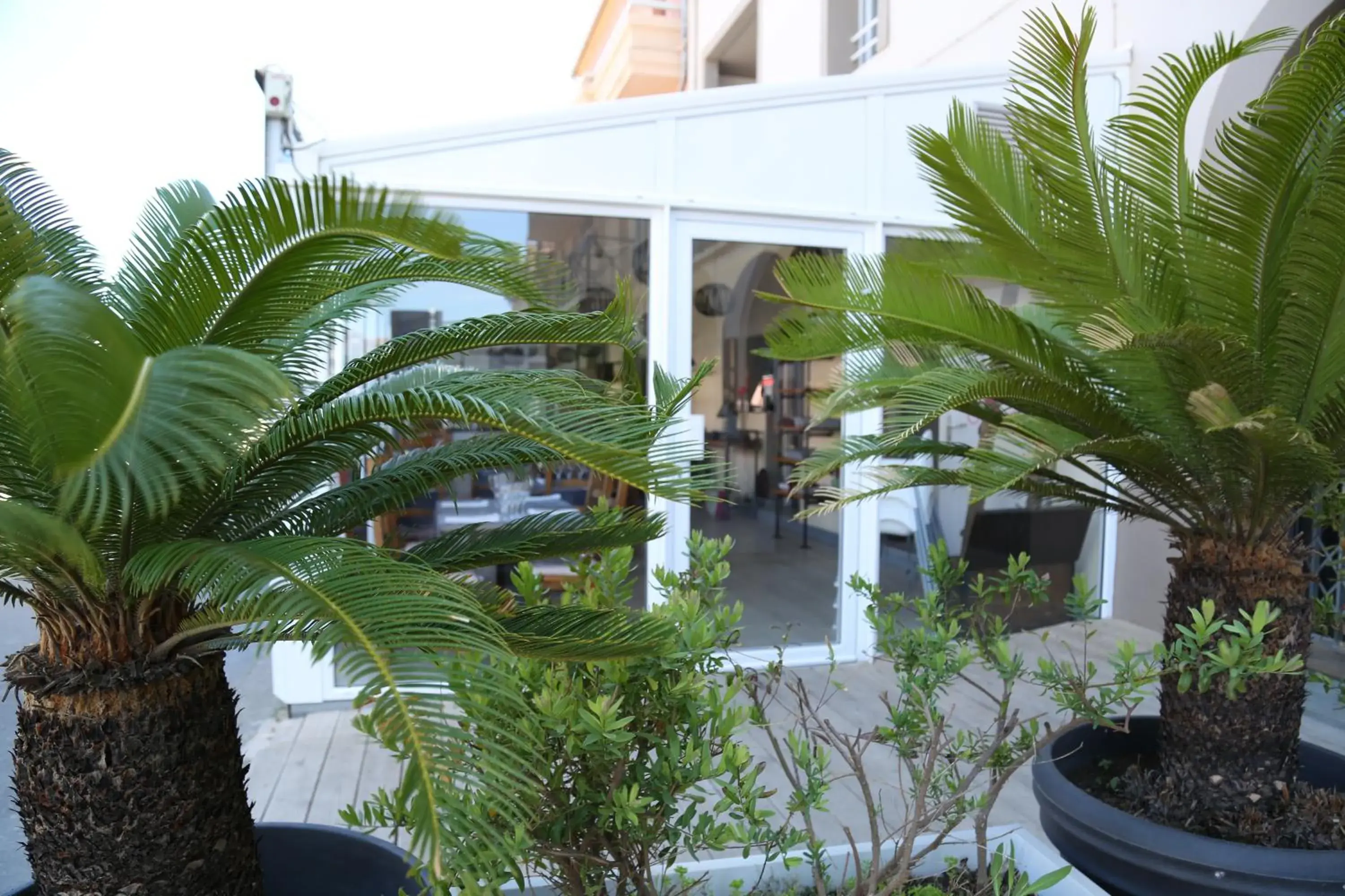 Résidence Moderne Résidence Moderne