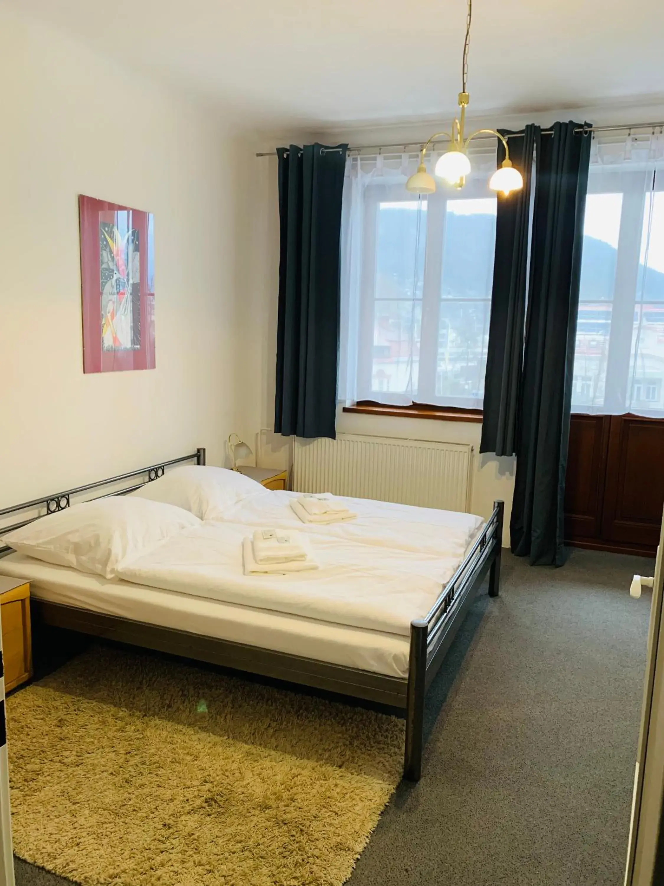 Double Room with Balcony - single occupancy in Hotel Slovan Double Room with Balcony - single occupancy in Hotel Slovan