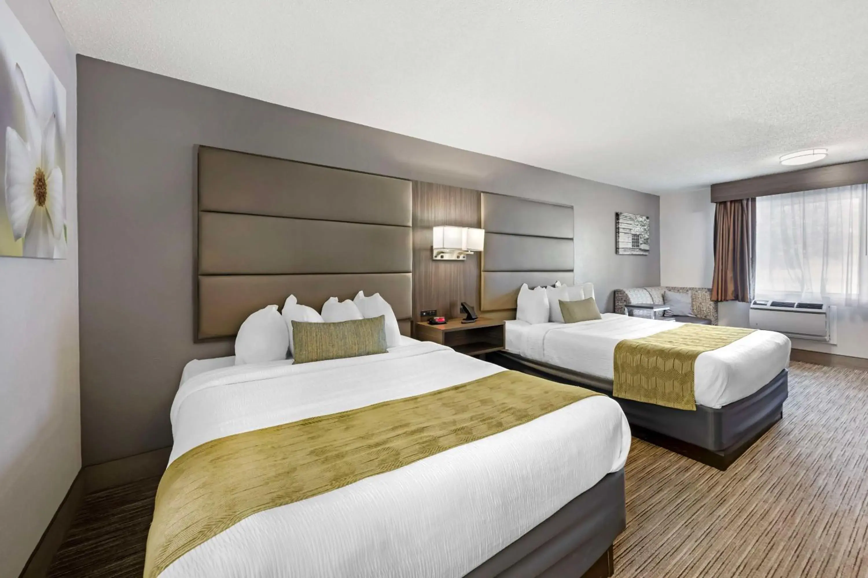 Queen Room with Two Queen Beds - Non-Smoking in Best Western Dickson Queen Room with Two Queen Beds - Non-Smoking in Best Western Dickson