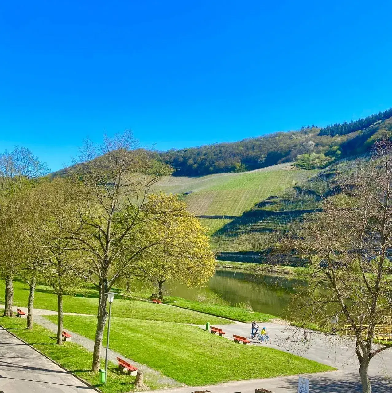 Deluxe Double Room - single occupancy in Hotel Krone Riesling Deluxe Double Room - single occupancy in Hotel Krone Riesling