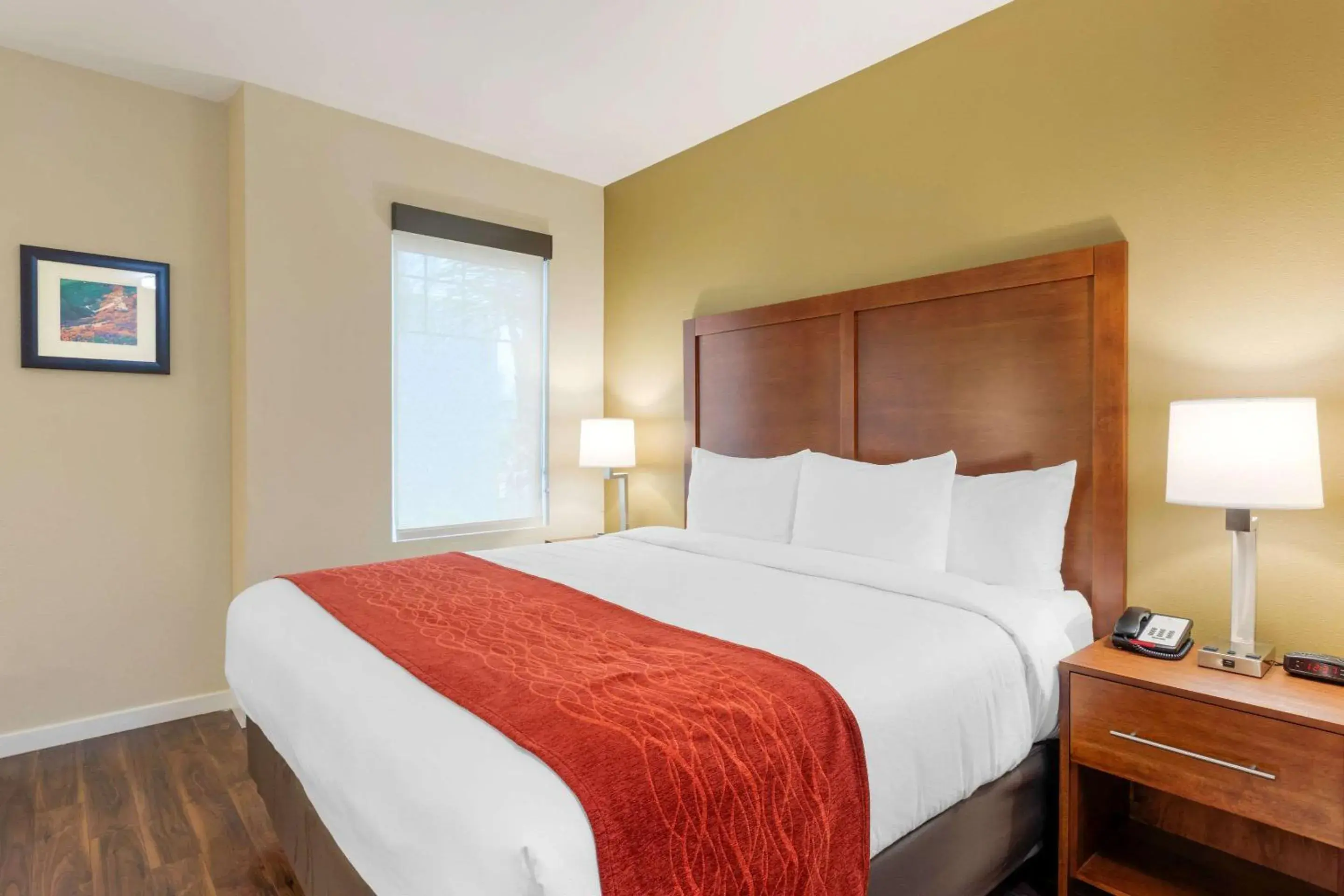 Standard Room, 1 King Bed, Non Smoking in Comfort Inn & Suites Near Ontario Airport Standard Room, 1 King Bed, Non Smoking in Comfort Inn & Suites Near Ontario Airport