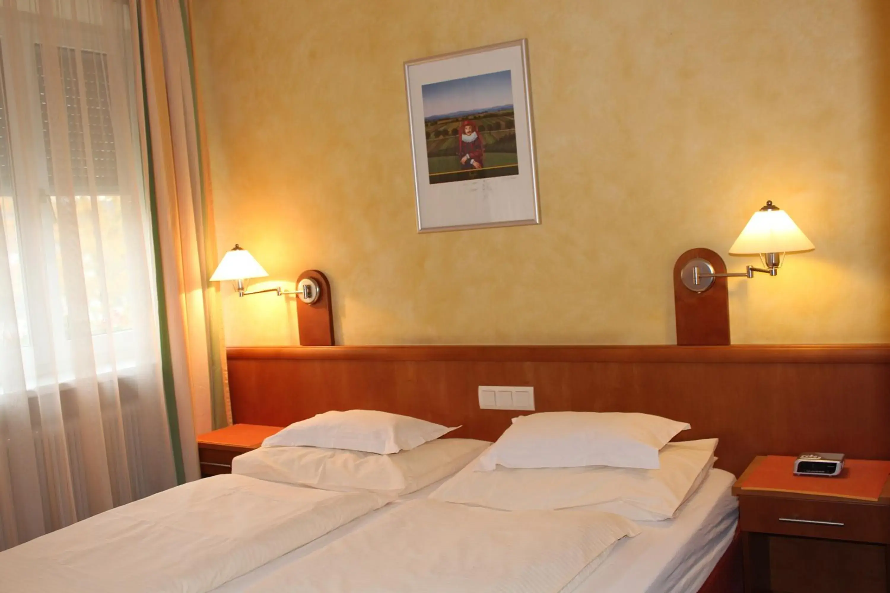 Double Room - single occupancy in Landgasthof Hotel Muhr Double Room - single occupancy in Landgasthof Hotel Muhr