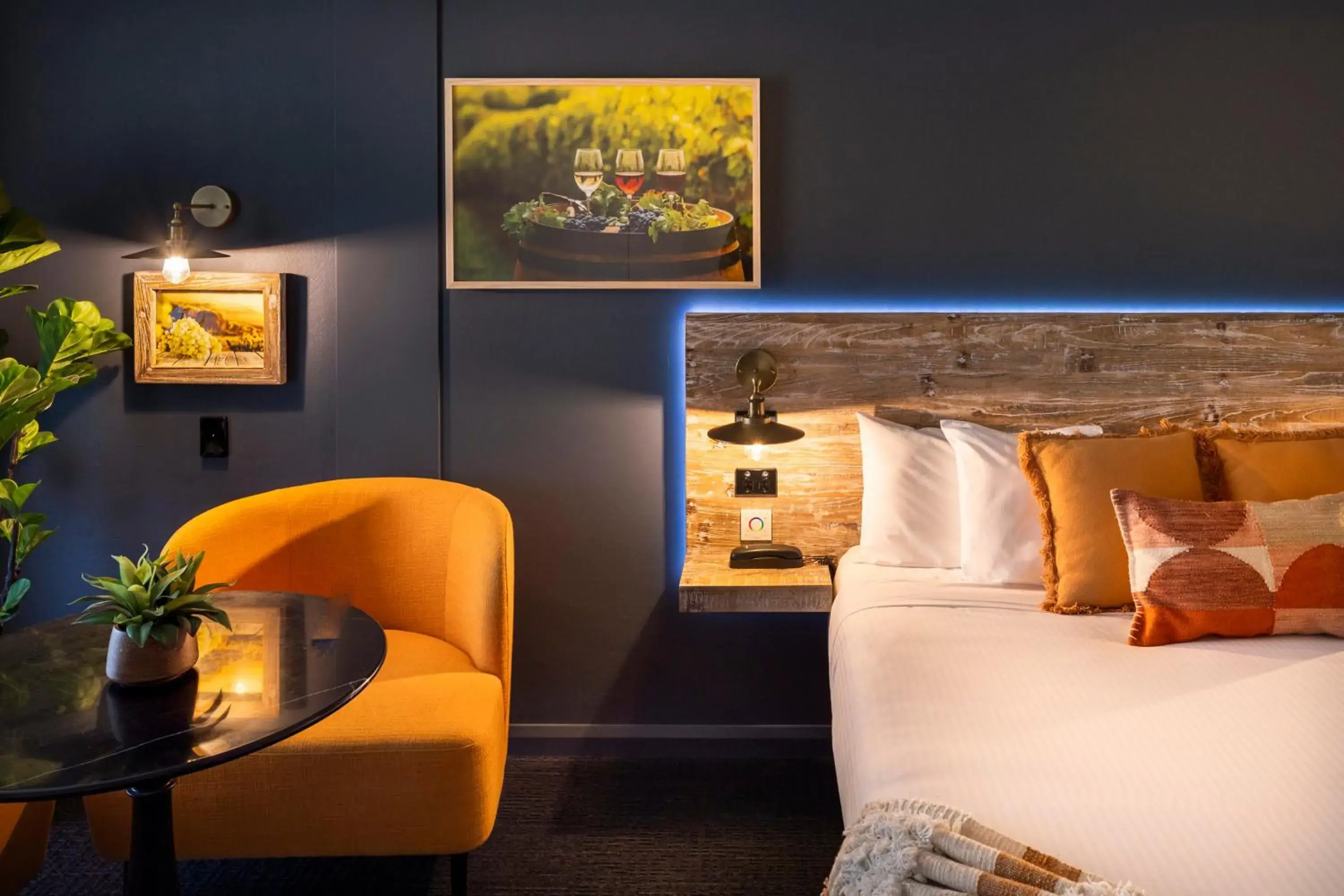 King Room in ibis Styles Orange King Room in ibis Styles Orange