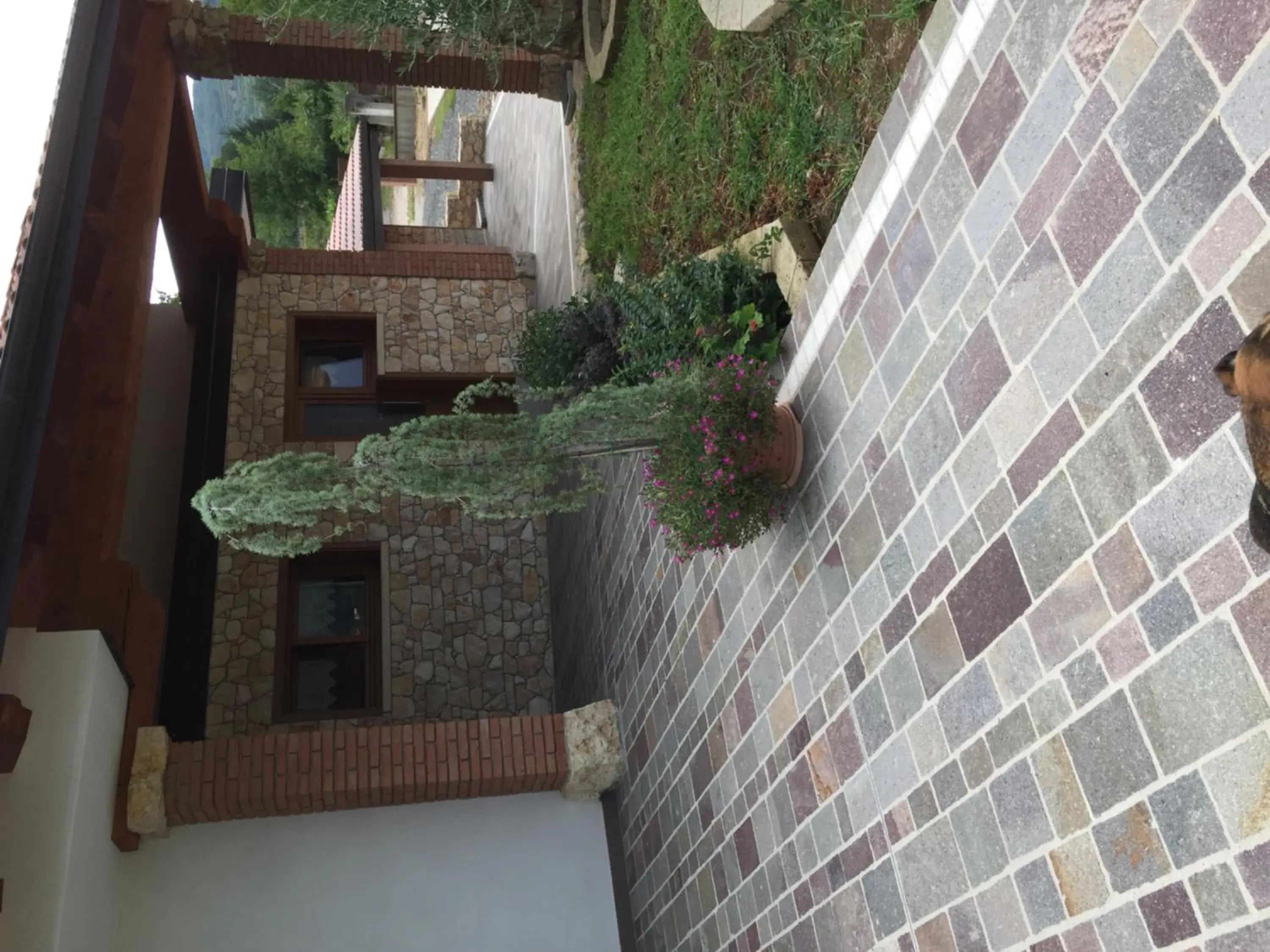 Double or Twin Room - single occupancy in La Fontanella Double or Twin Room - single occupancy in La Fontanella