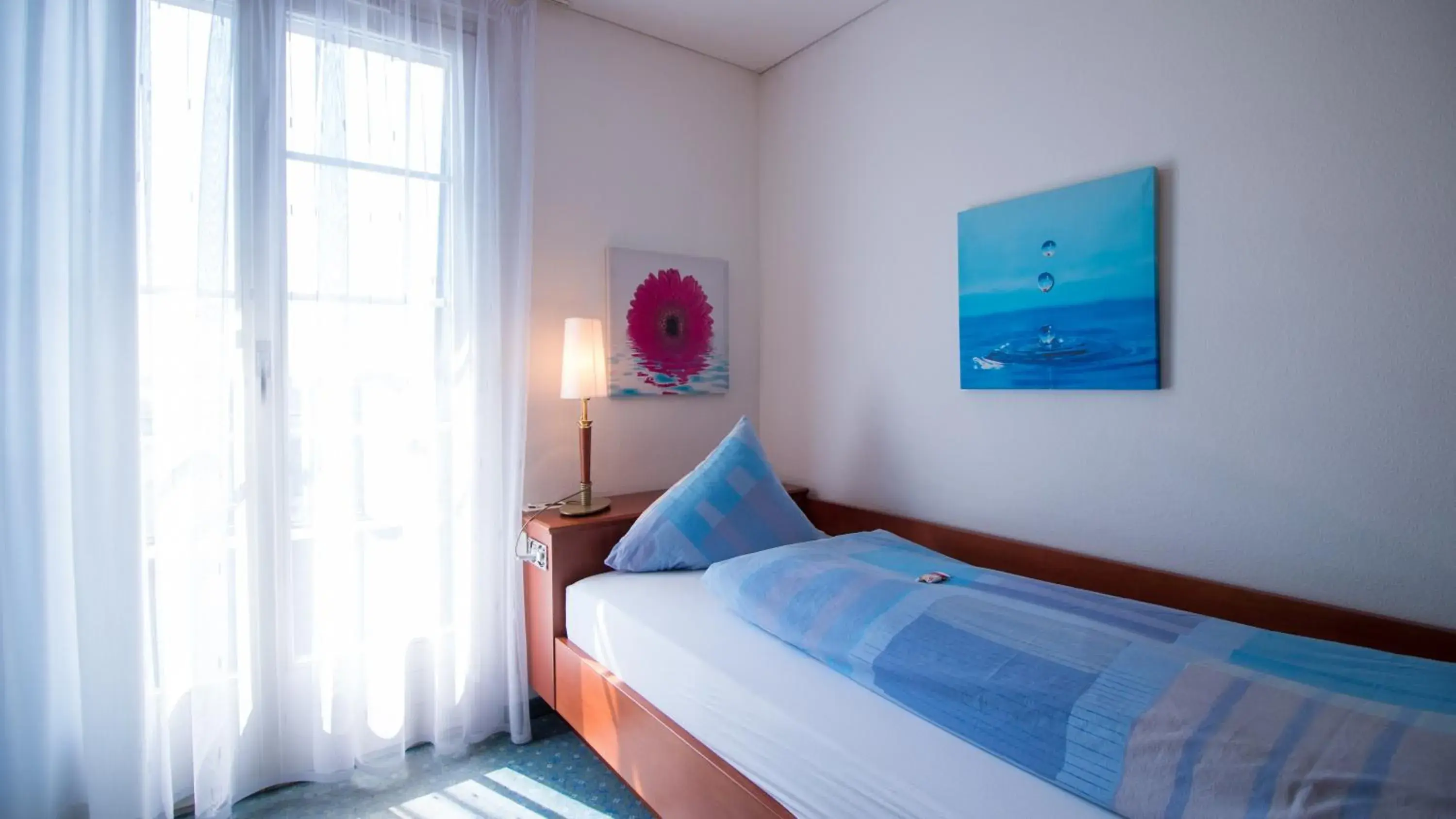 Single Room with Lake View in Hotel Schloss Romanshorn Single Room with Lake View in Hotel Schloss Romanshorn