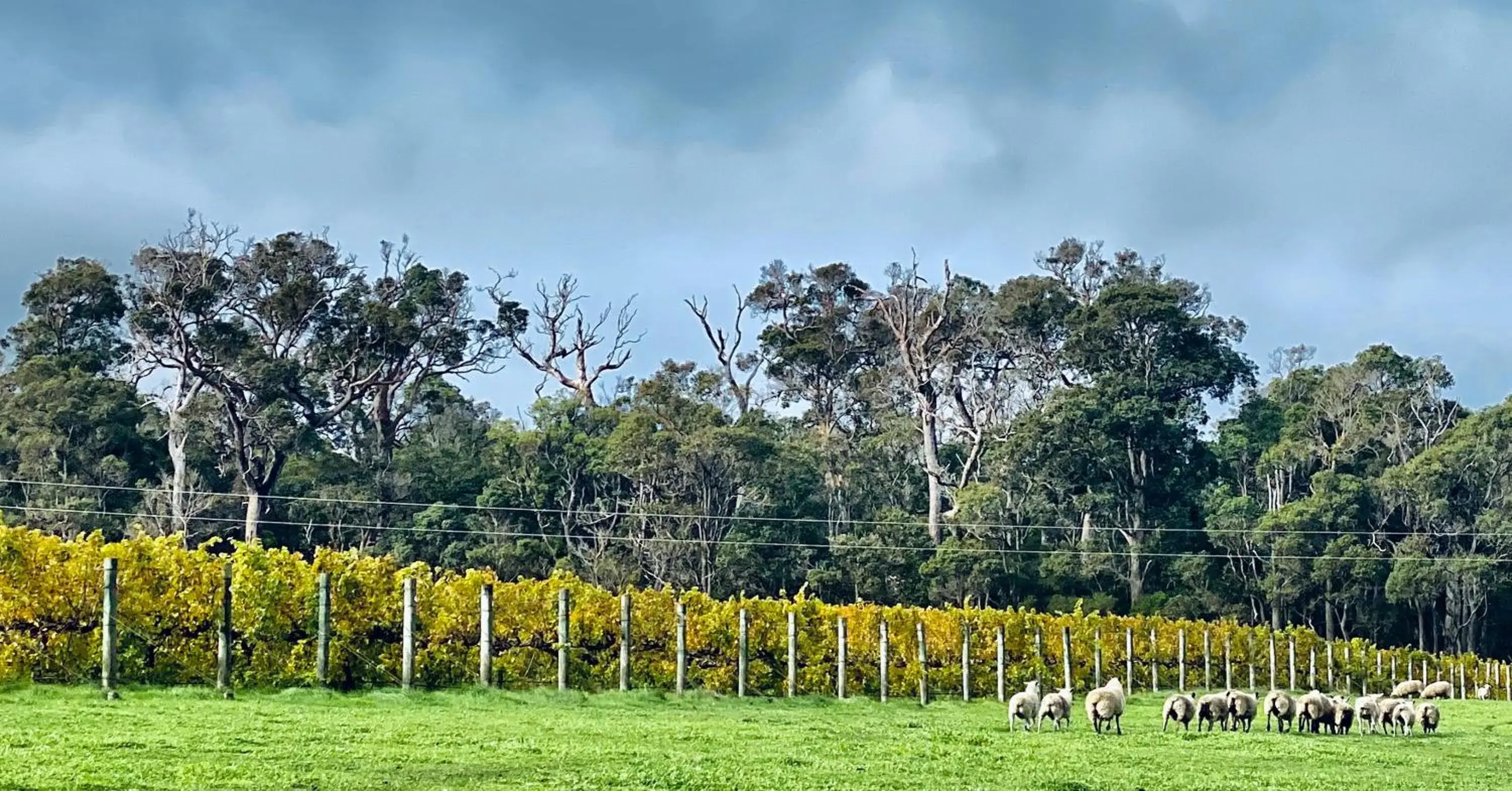 Harmony Forest Cottages & Lake side Lodge Harmony Forest Cottages & Lake side Lodge