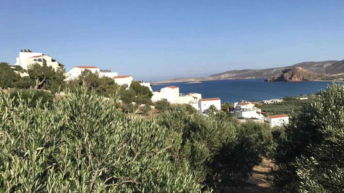 Studios ( 3 Adults) with Side Sea View in Castri Village Hotel Studios ( 3 Adults) with Side Sea View in Castri Village Hotel